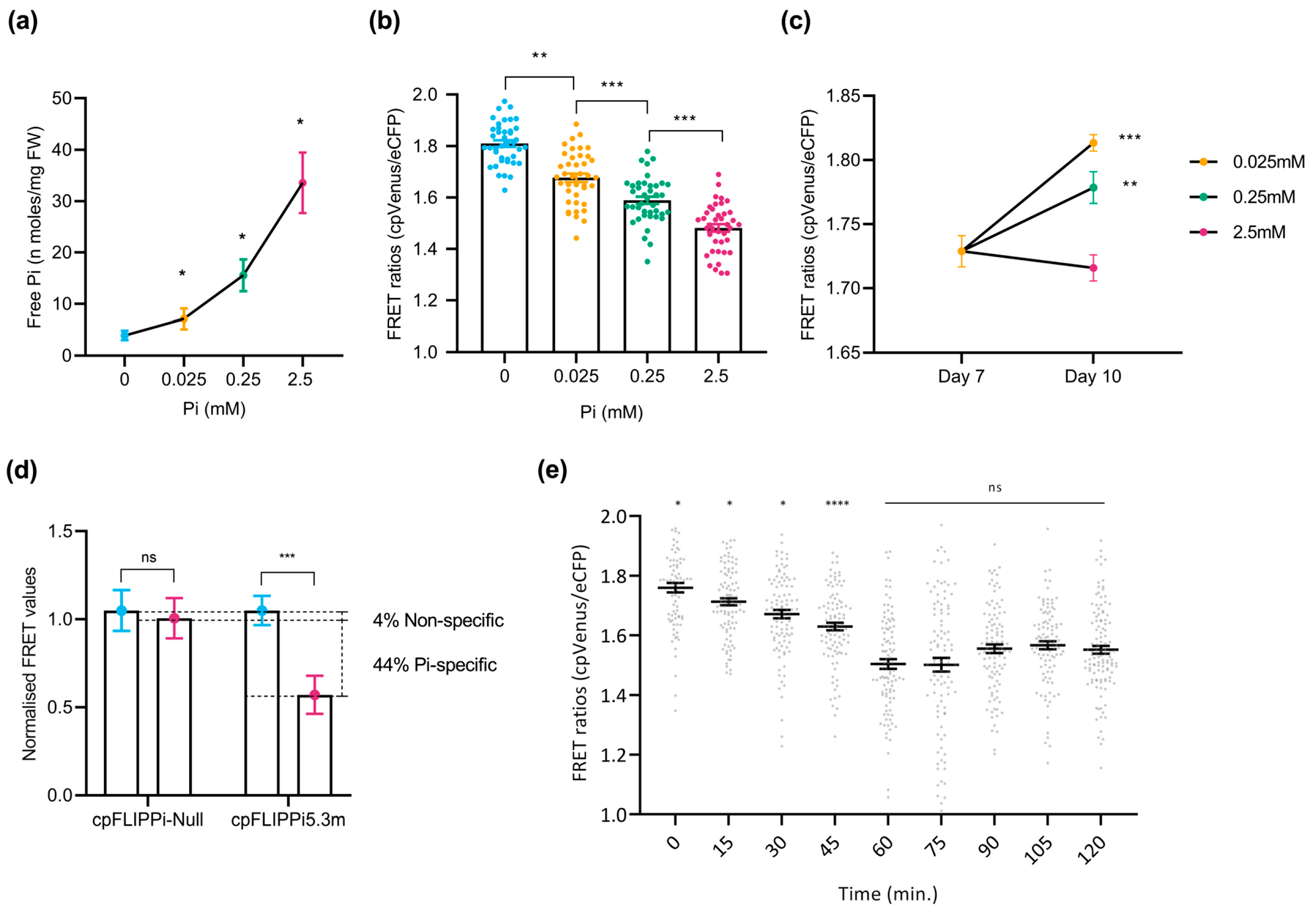 Plants 14 03334 g003 Plants 14 03334 g003