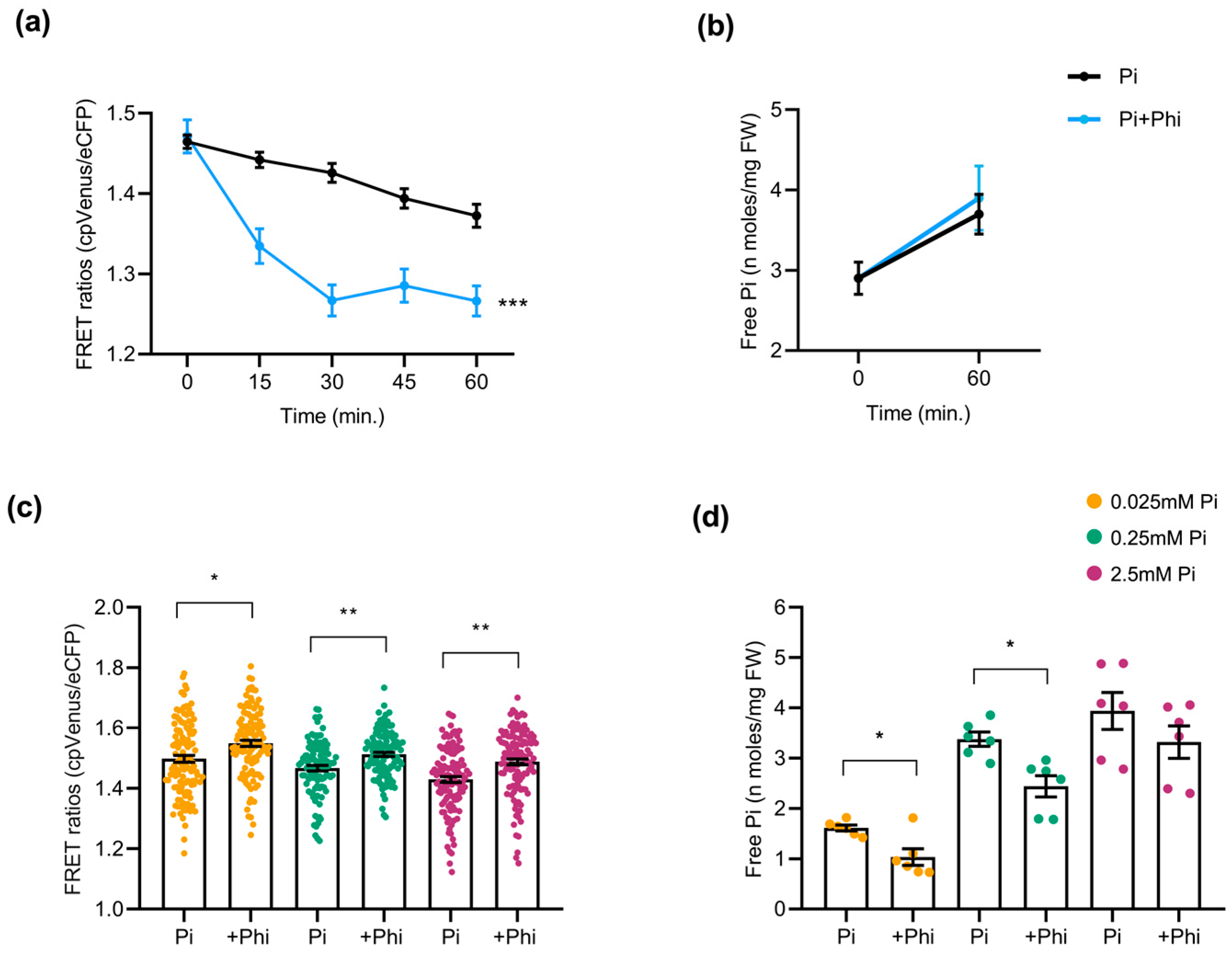 Plants 14 03334 g006 Plants 14 03334 g006