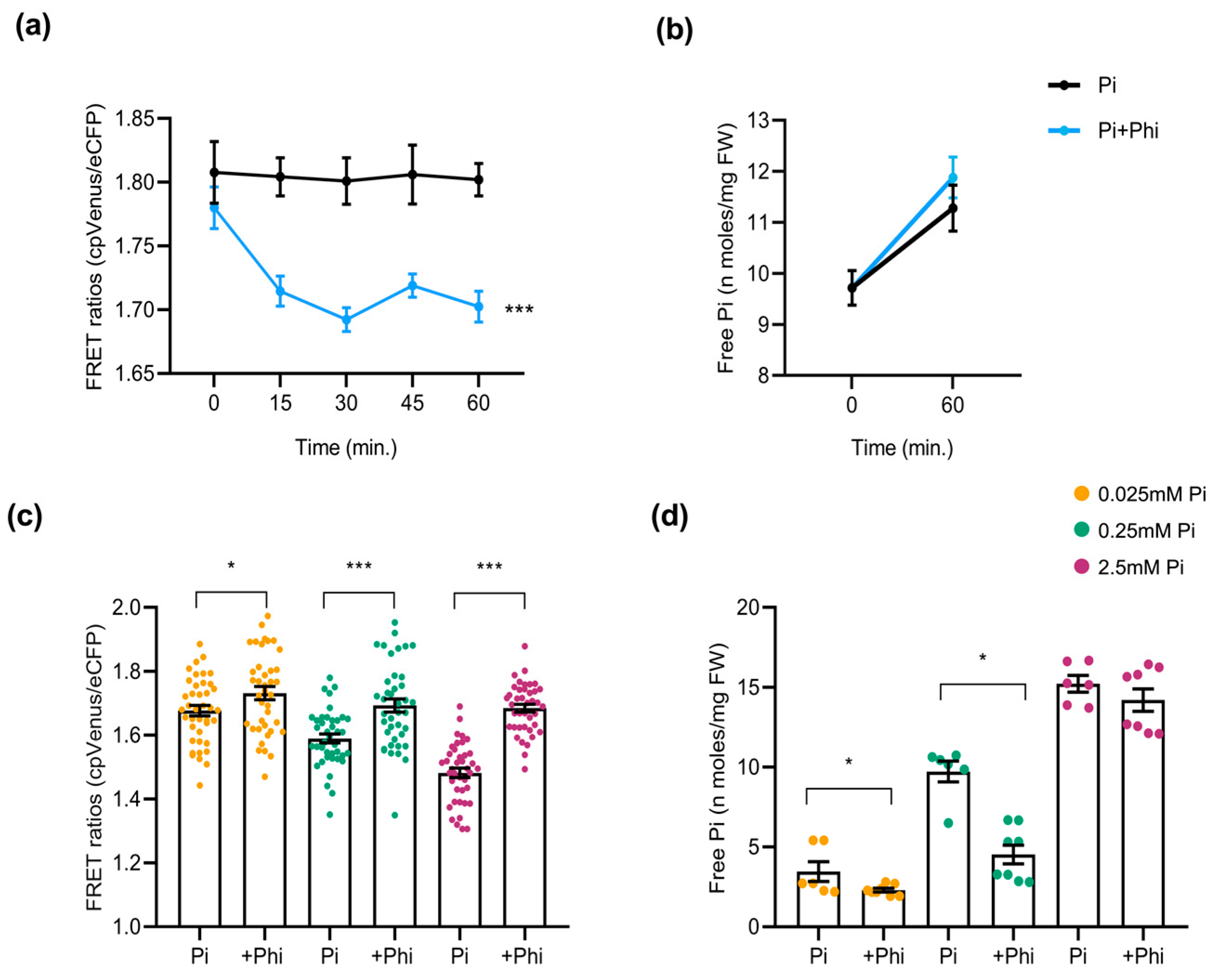 Plants 14 03334 g007 Plants 14 03334 g007