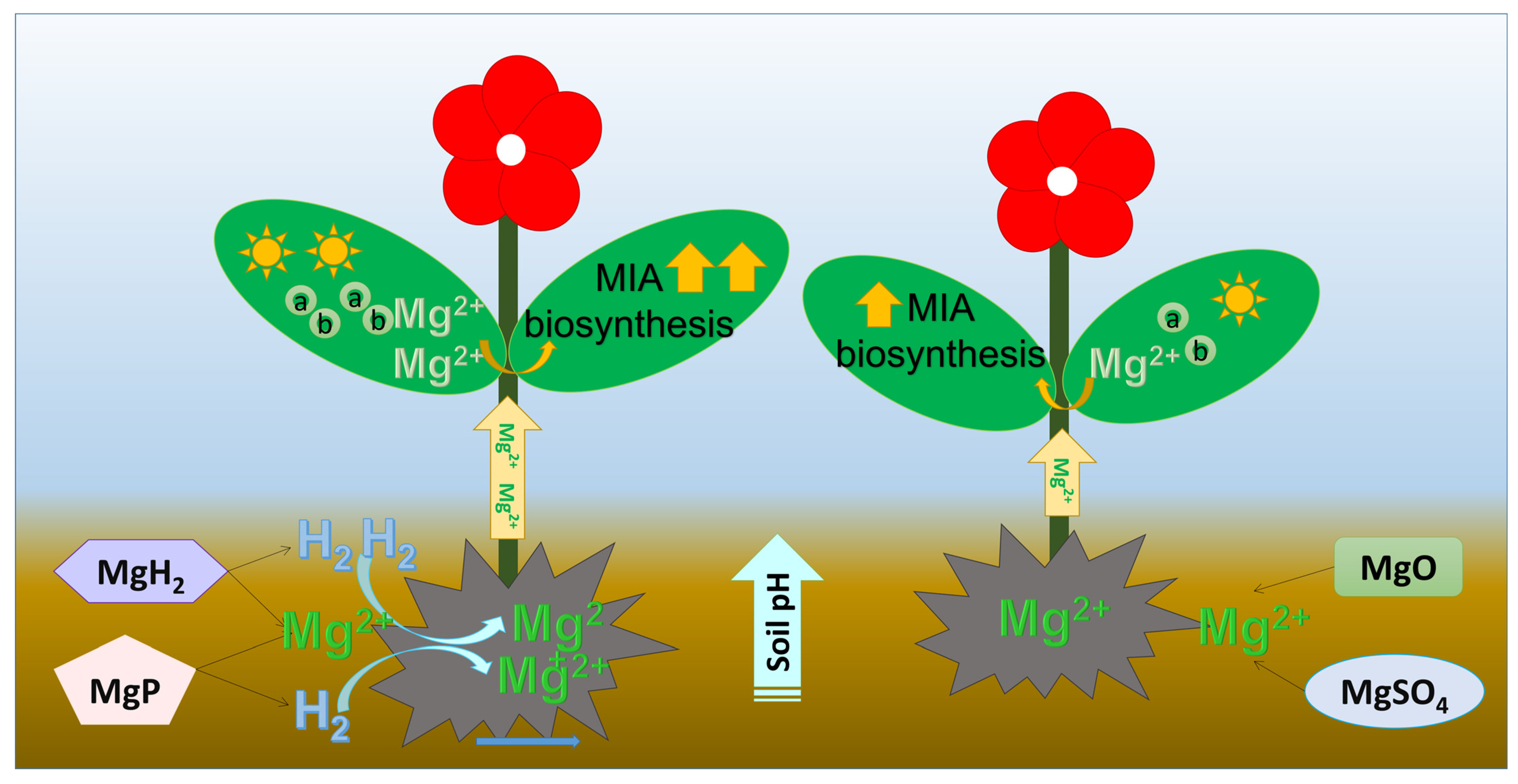 Plants 14 03336 g008 Plants 14 03336 g008