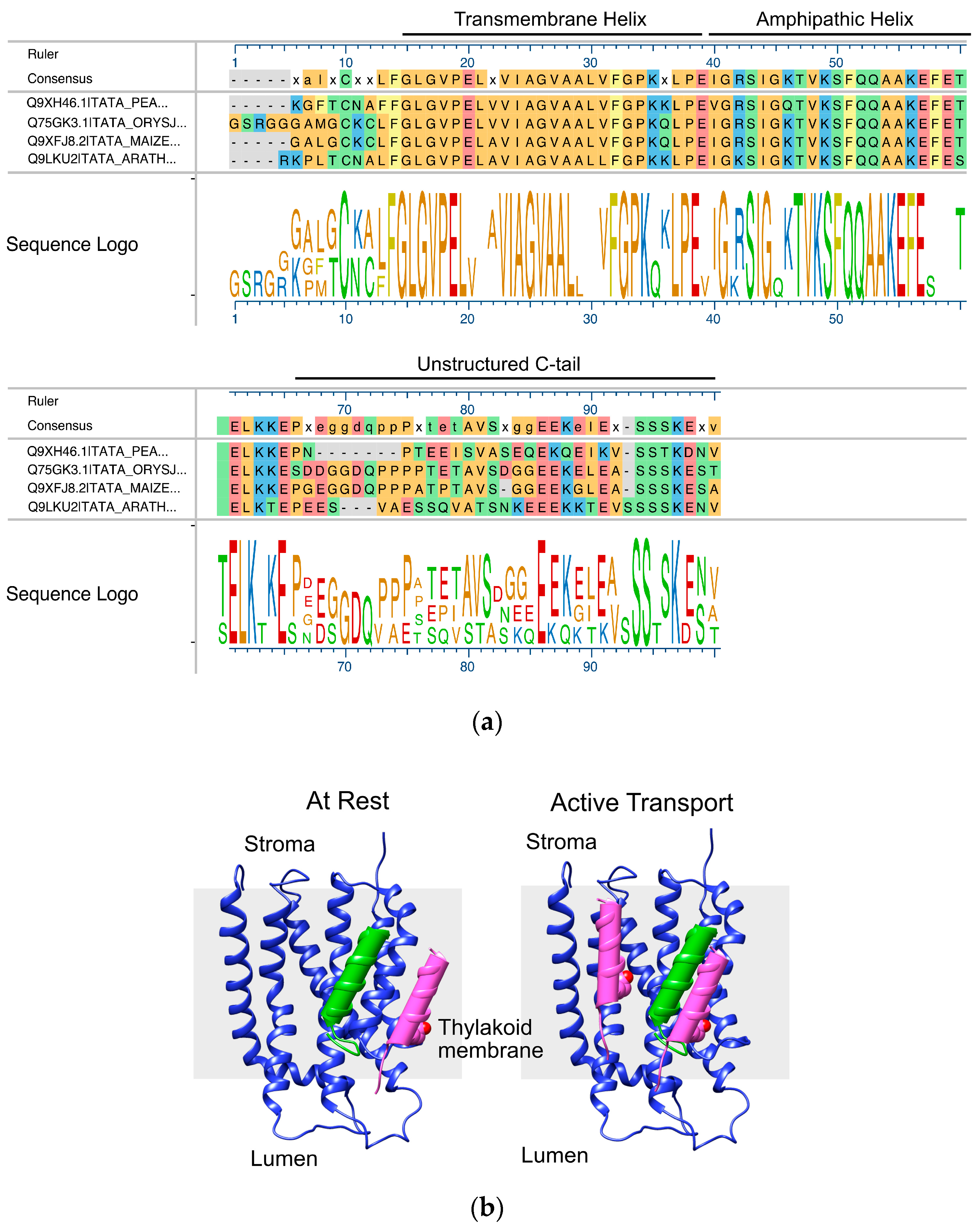 Plants 14 03338 g001