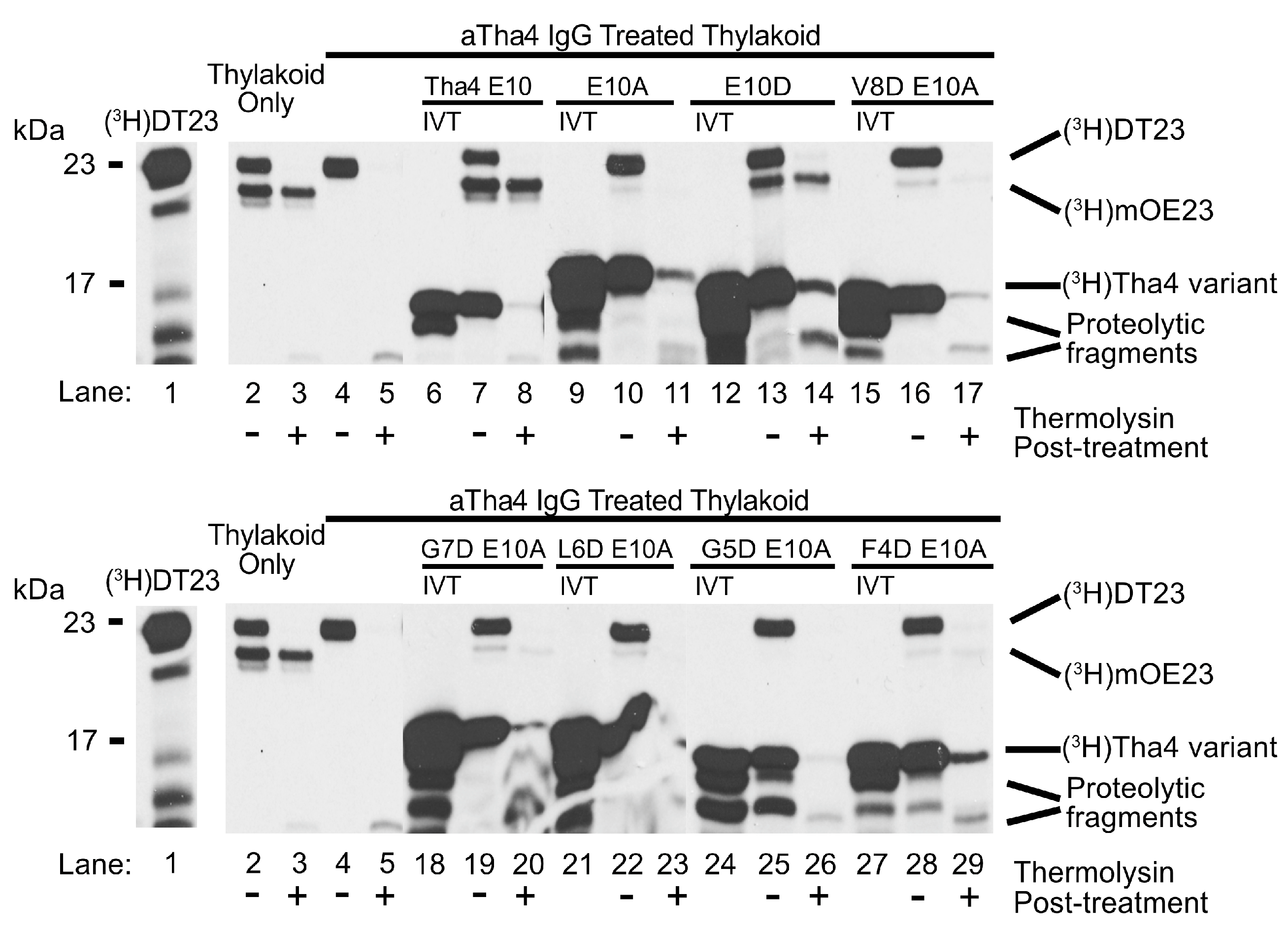 Plants 14 03338 g003