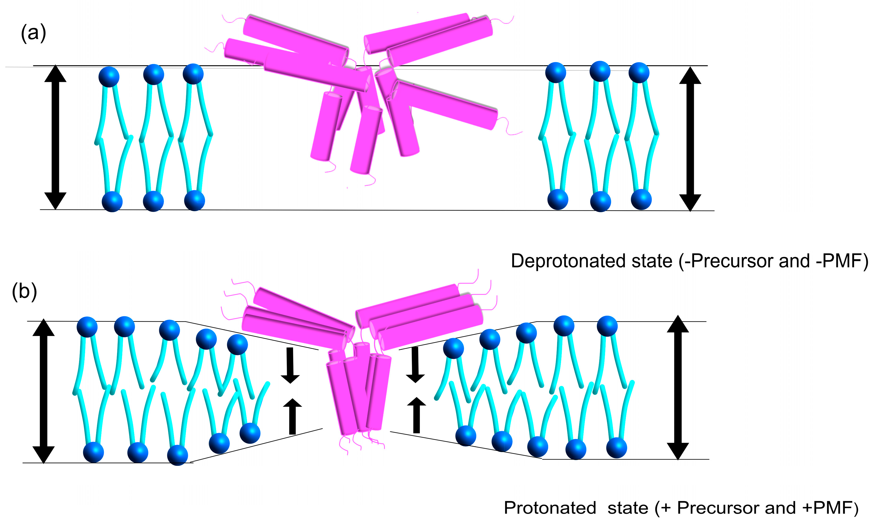 Plants 14 03338 g010