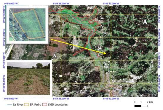 Plants 14 03343 g009