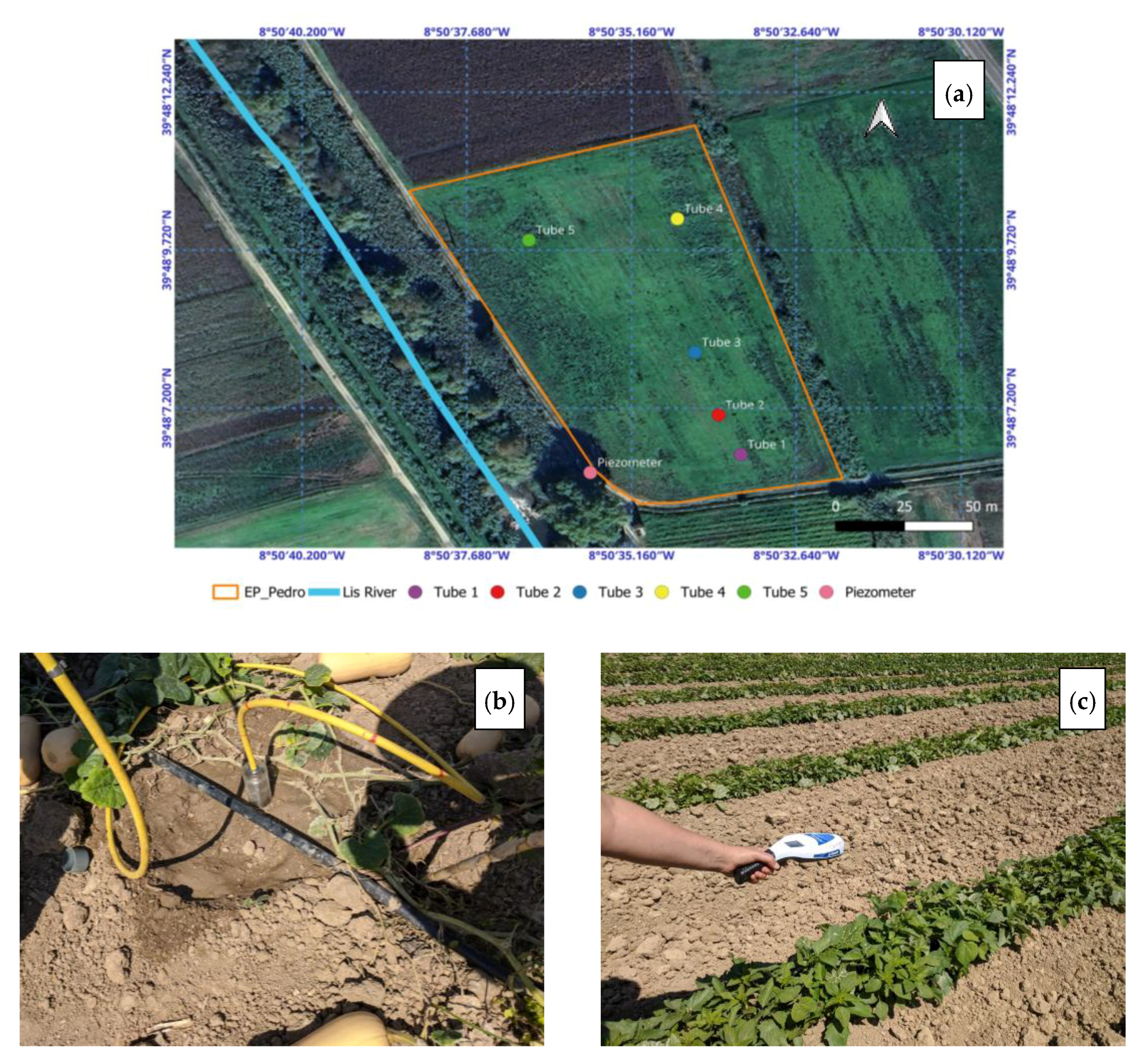 Plants 14 03343 g011 Plants 14 03343 g011