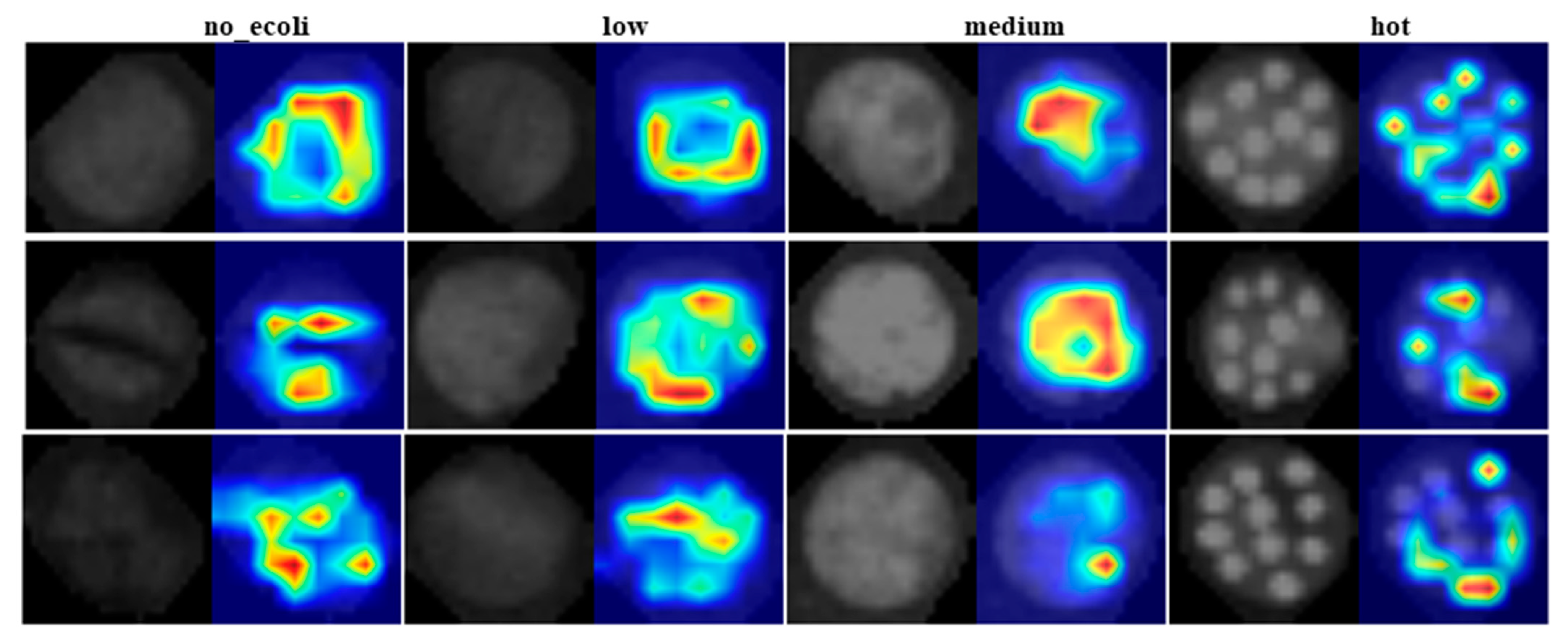 Plants 14 03352 g008