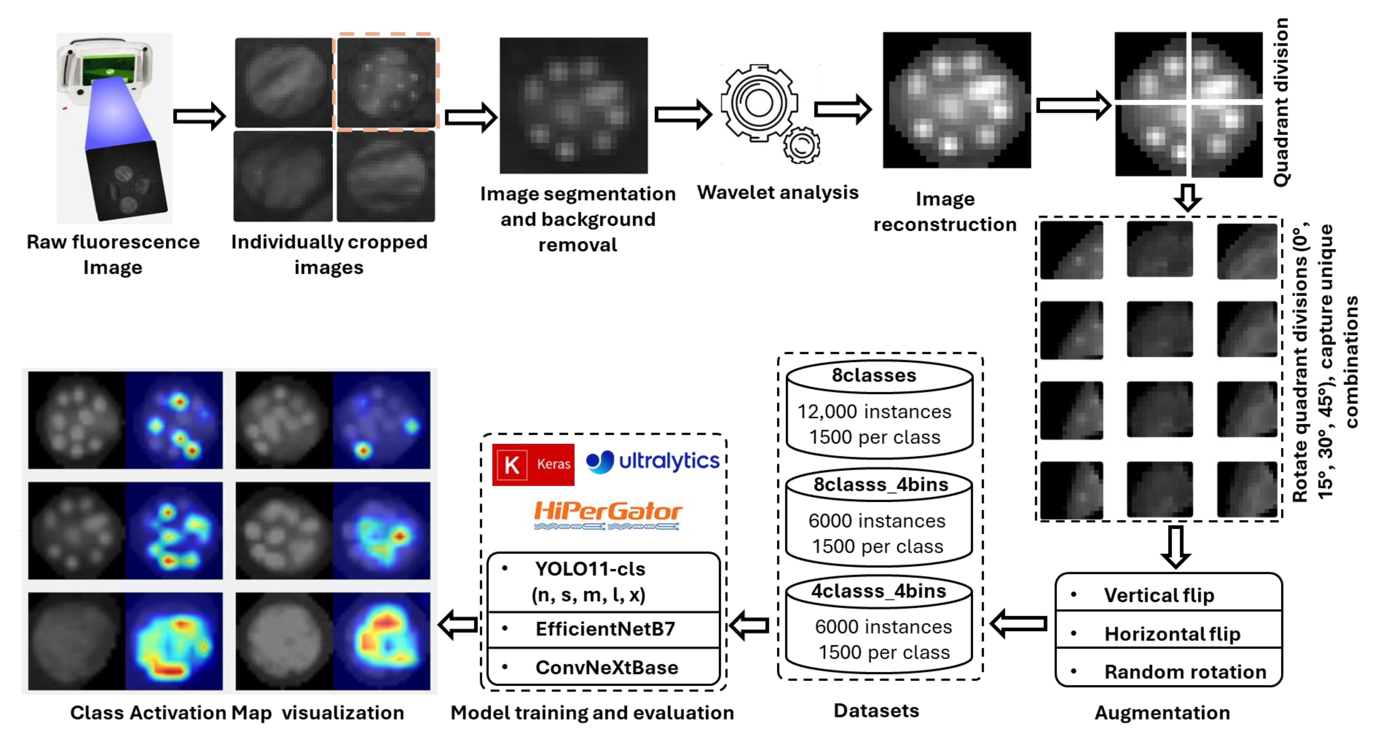 Plants 14 03352 g009