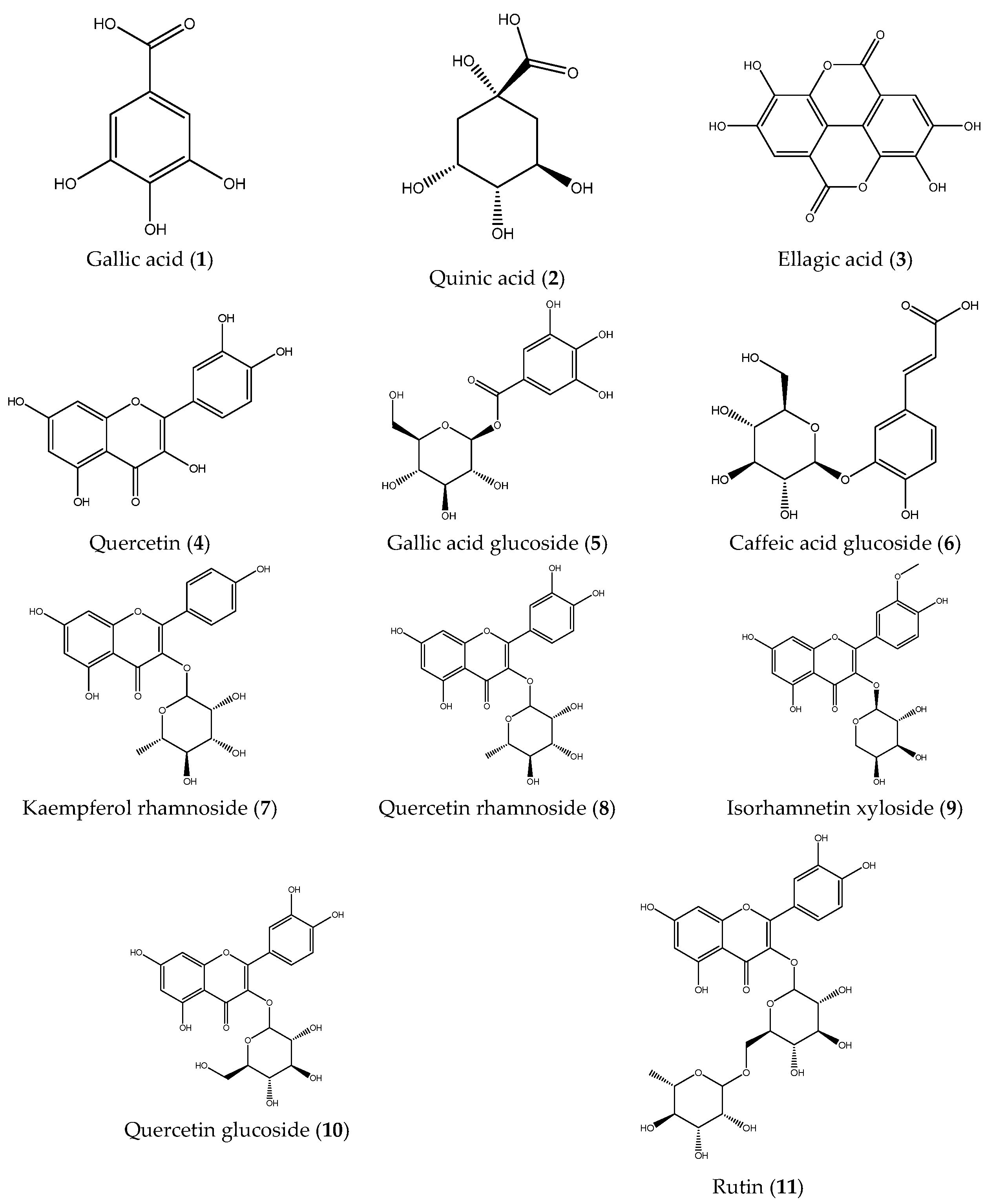 Plants 14 03357 g001 Plants 14 03357 g001
