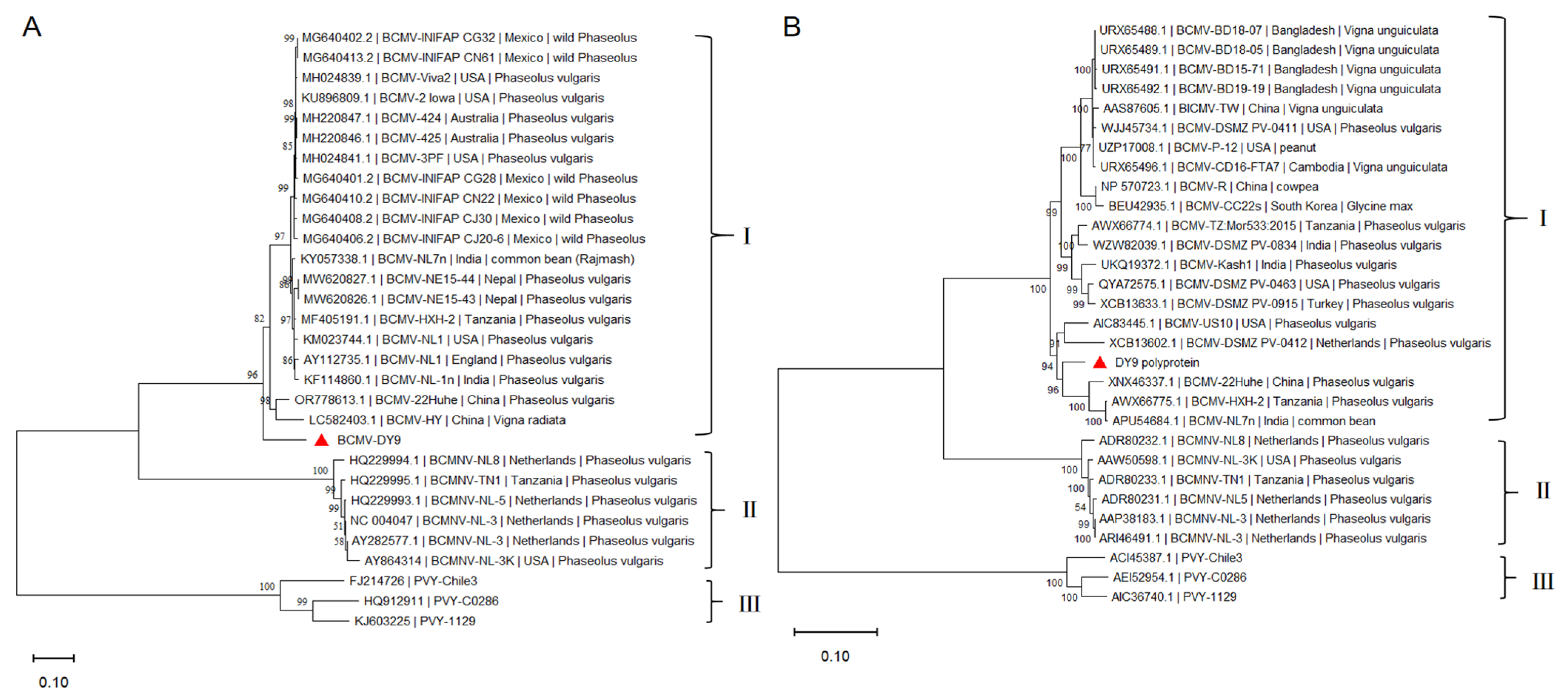 Plants 14 03359 g002