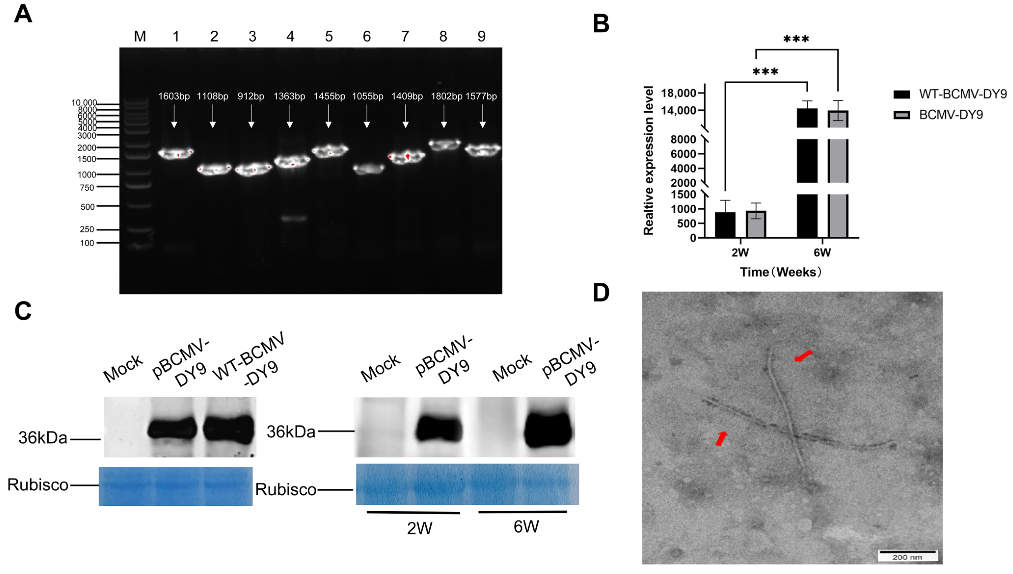 Plants 14 03359 g003