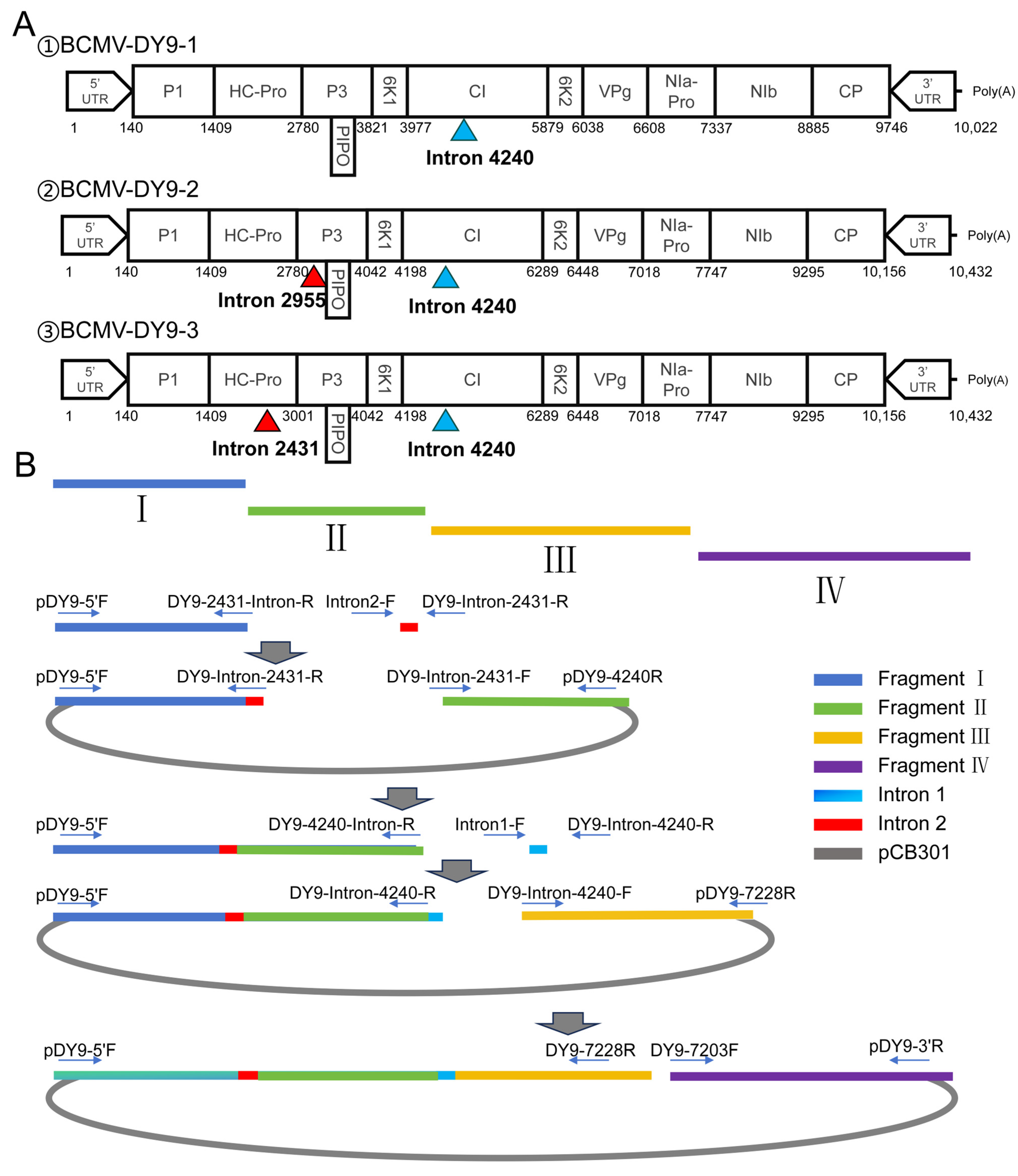 Plants 14 03359 g005