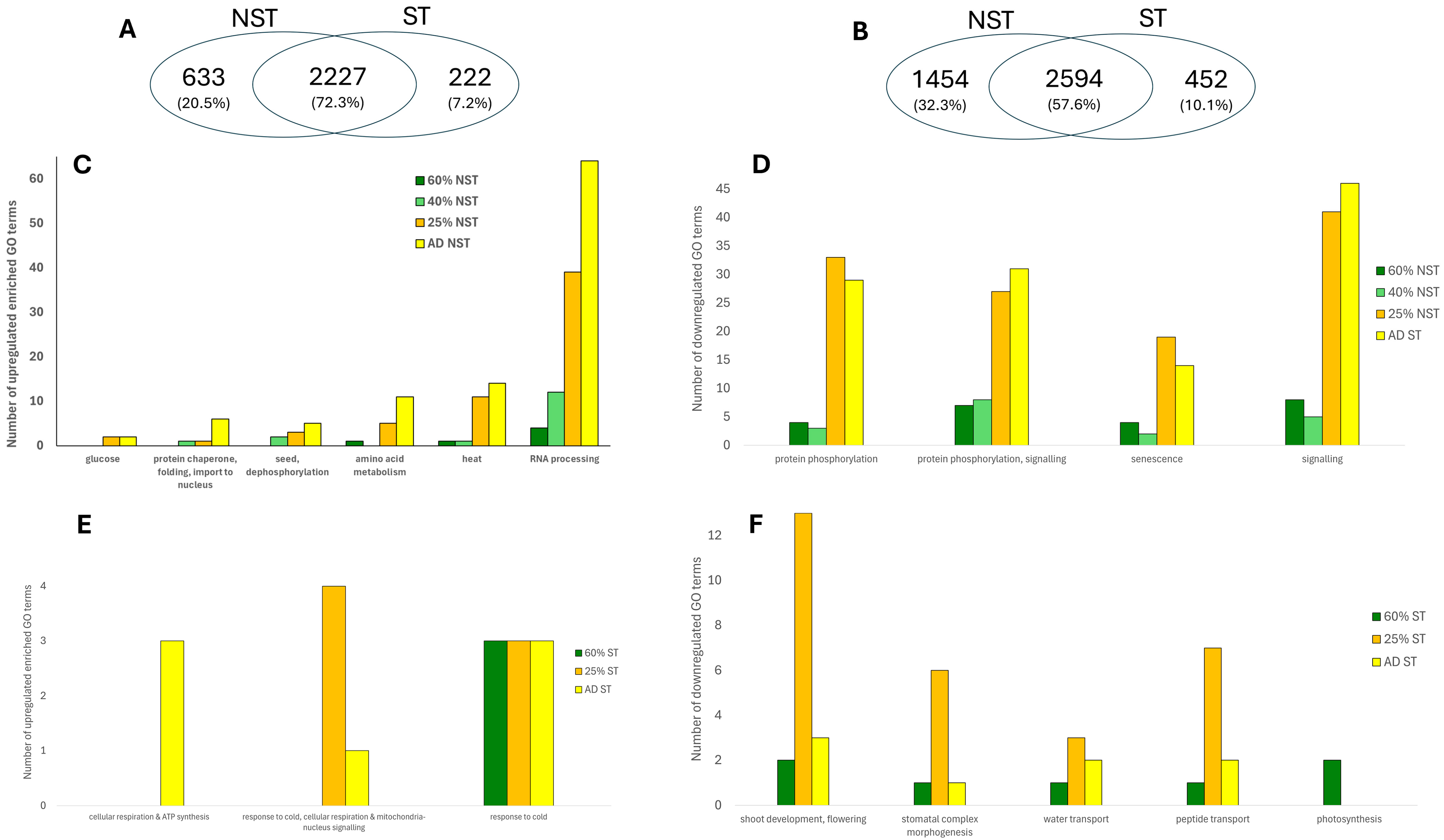 Plants 14 03360 g007