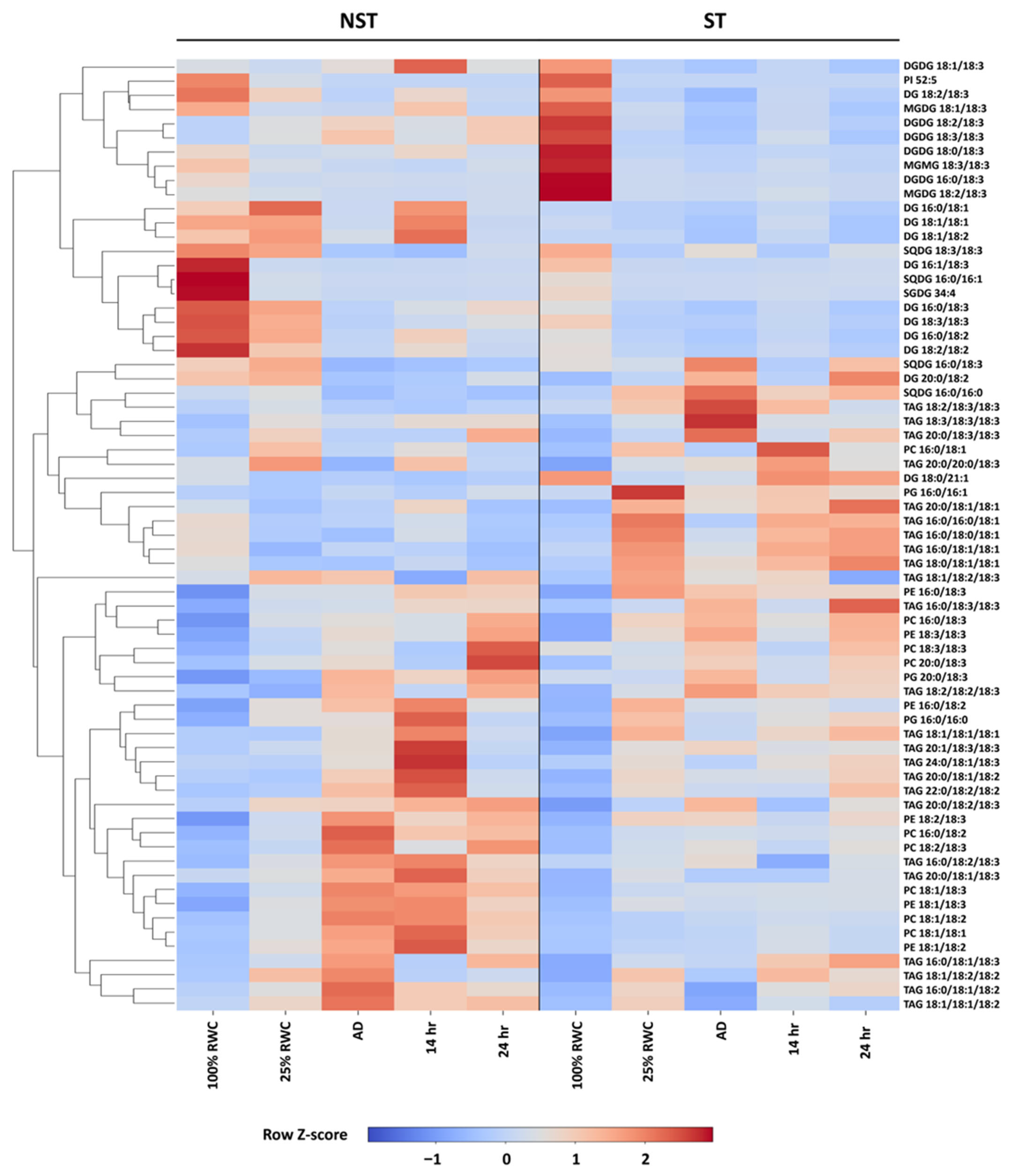 Plants 14 03360 g008