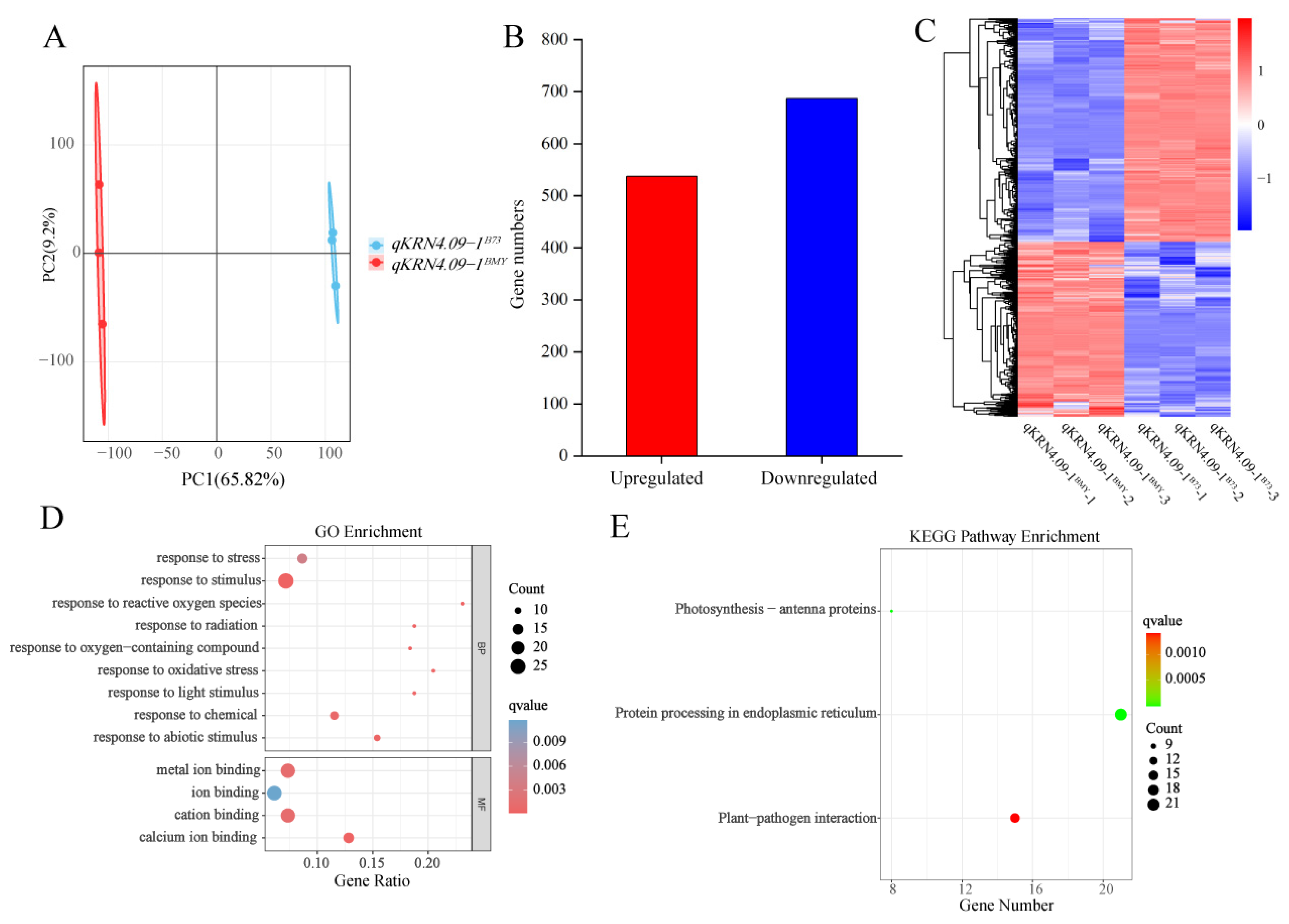 Plants 14 03361 g004
