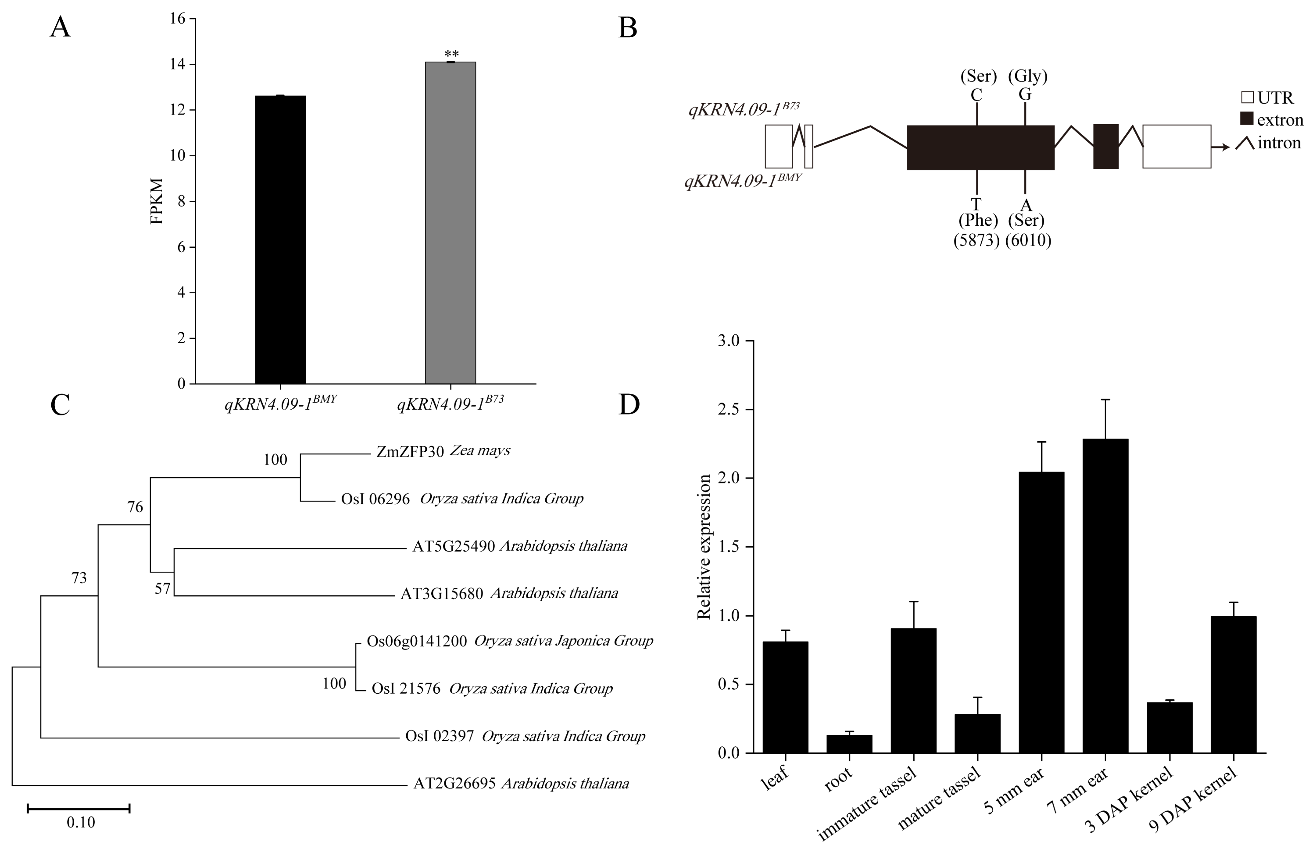 Plants 14 03361 g005
