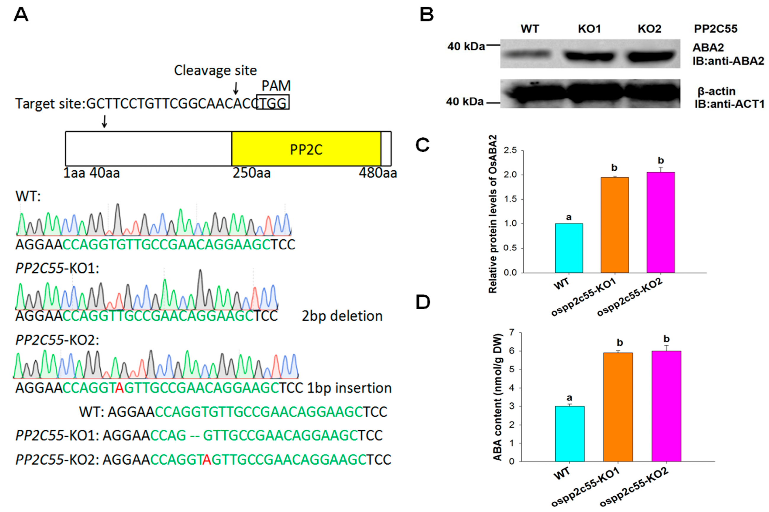 Plants 14 03362 g002 Plants 14 03362 g002
