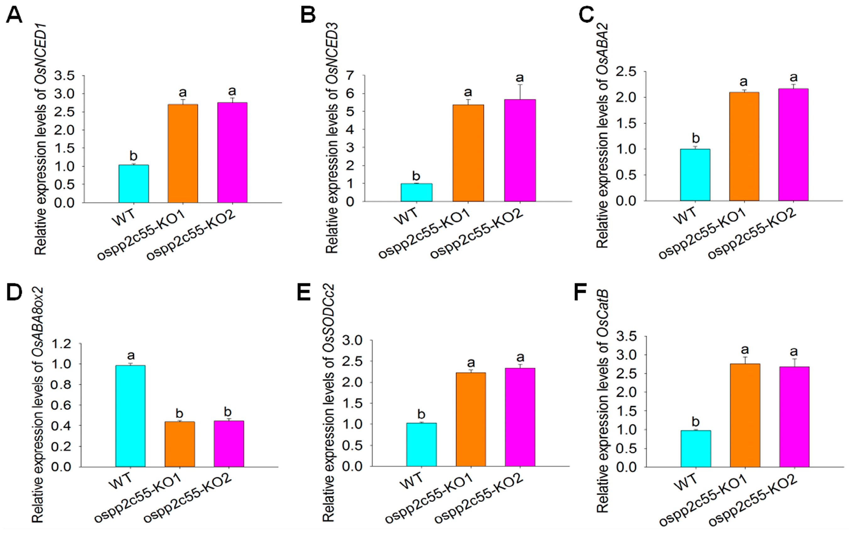 Plants 14 03362 g005 Plants 14 03362 g005
