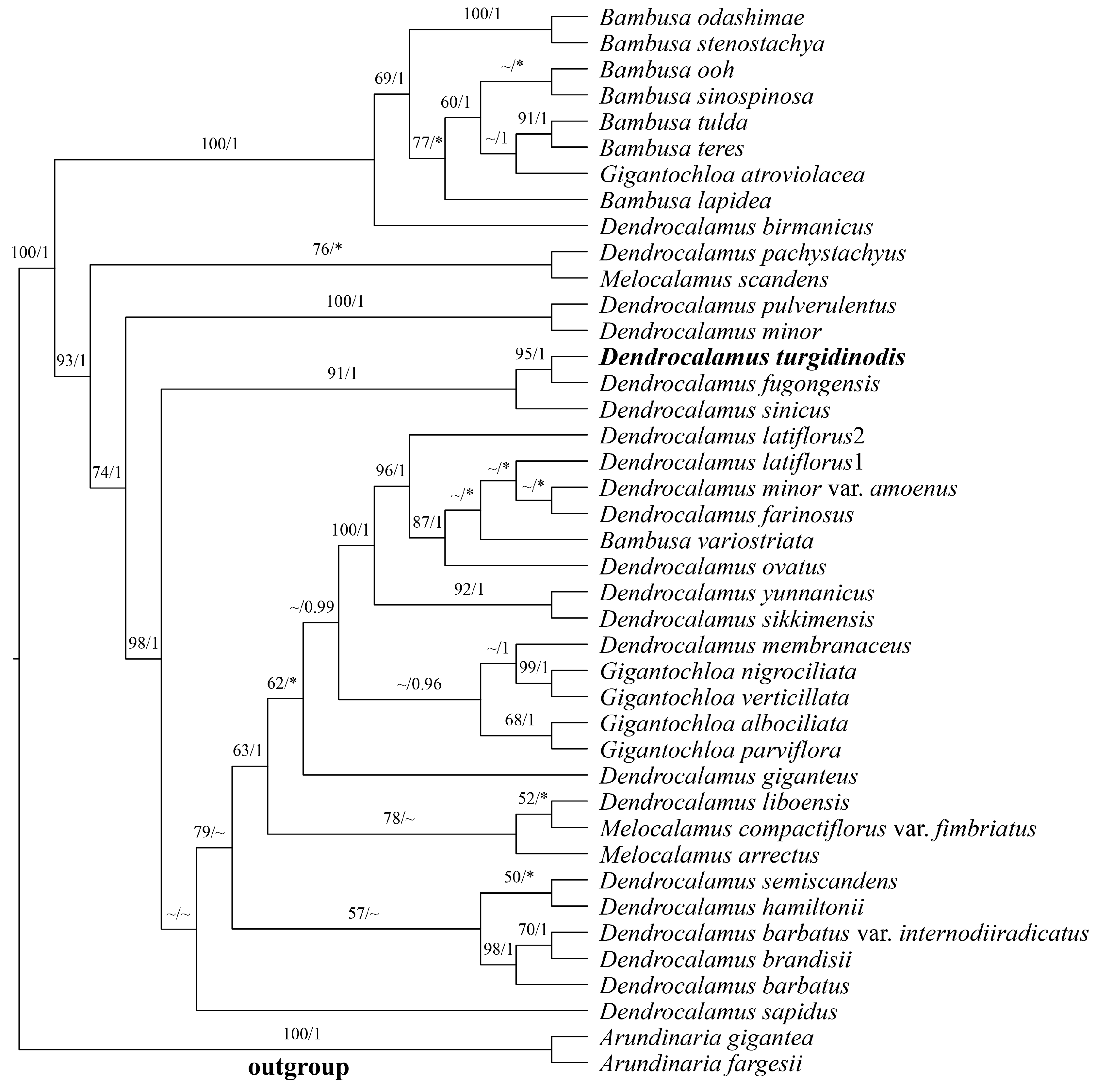 Plants 14 03364 g007 Plants 14 03364 g007