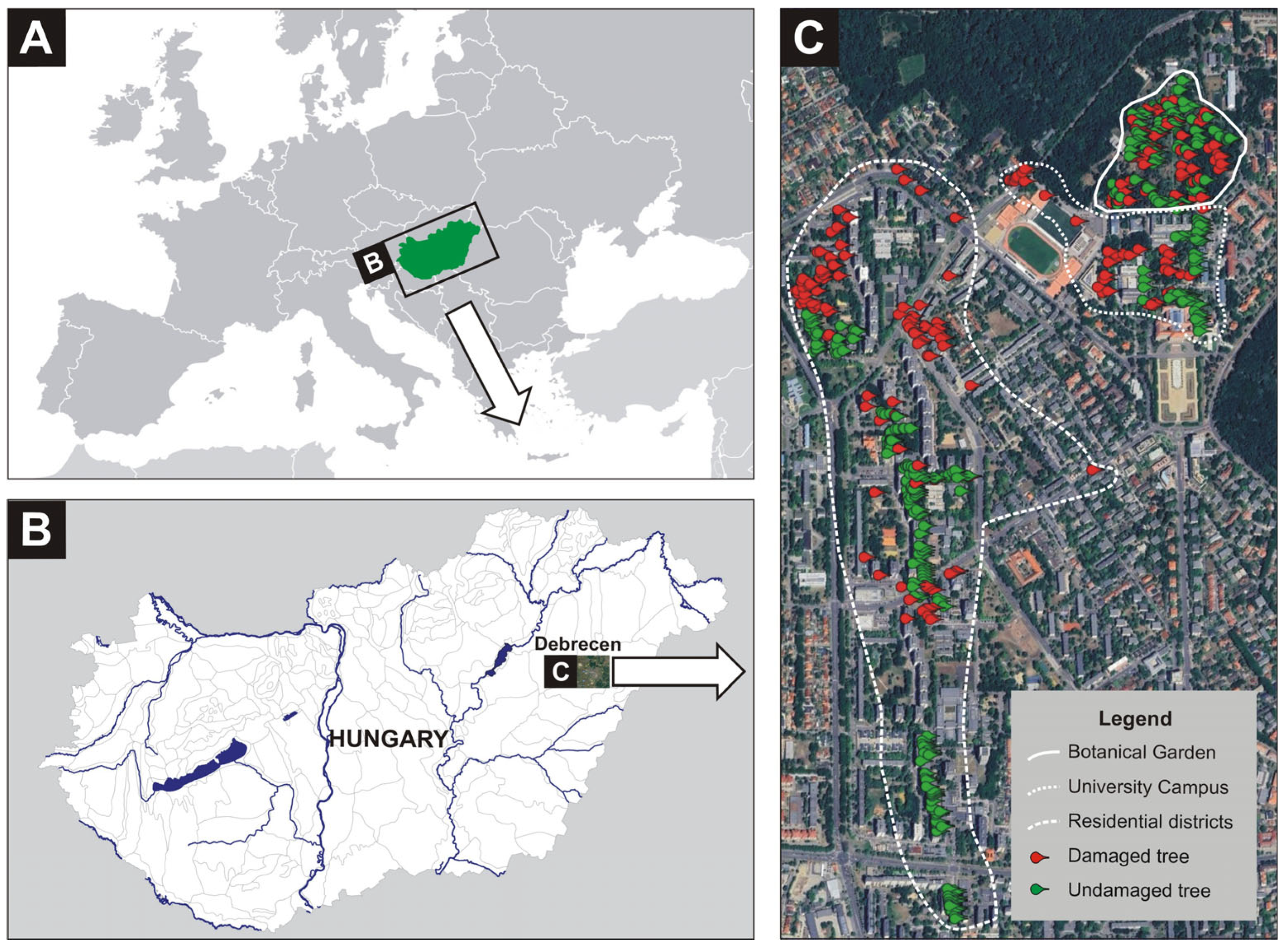 Plants 14 03366 g004 Plants 14 03366 g004