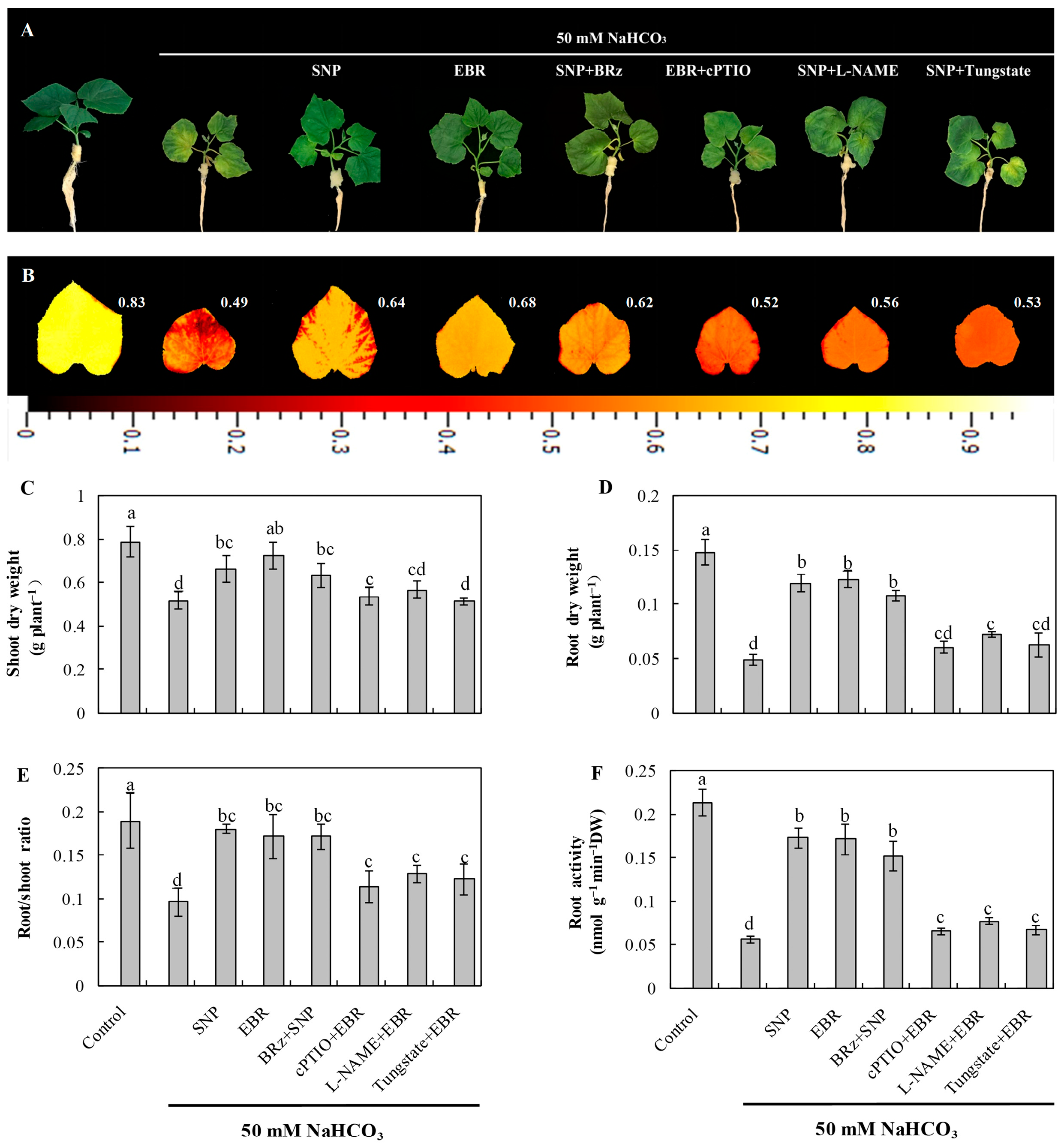 Plants 14 03367 g001