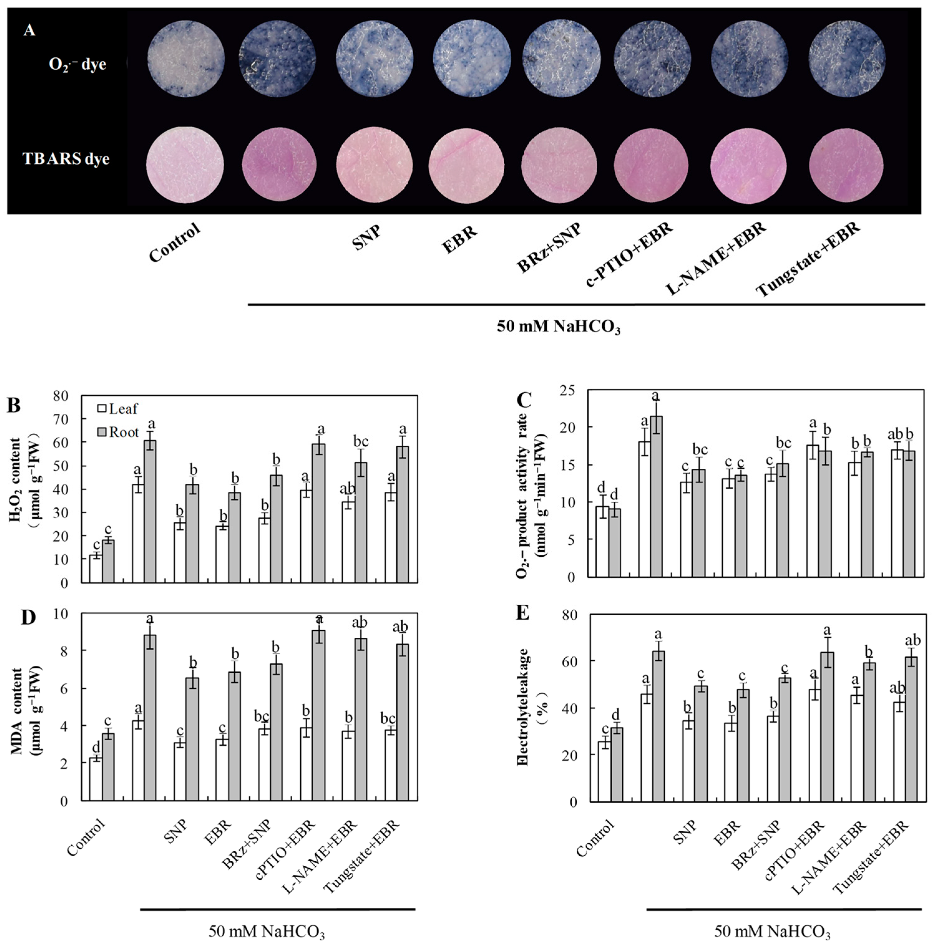 Plants 14 03367 g002