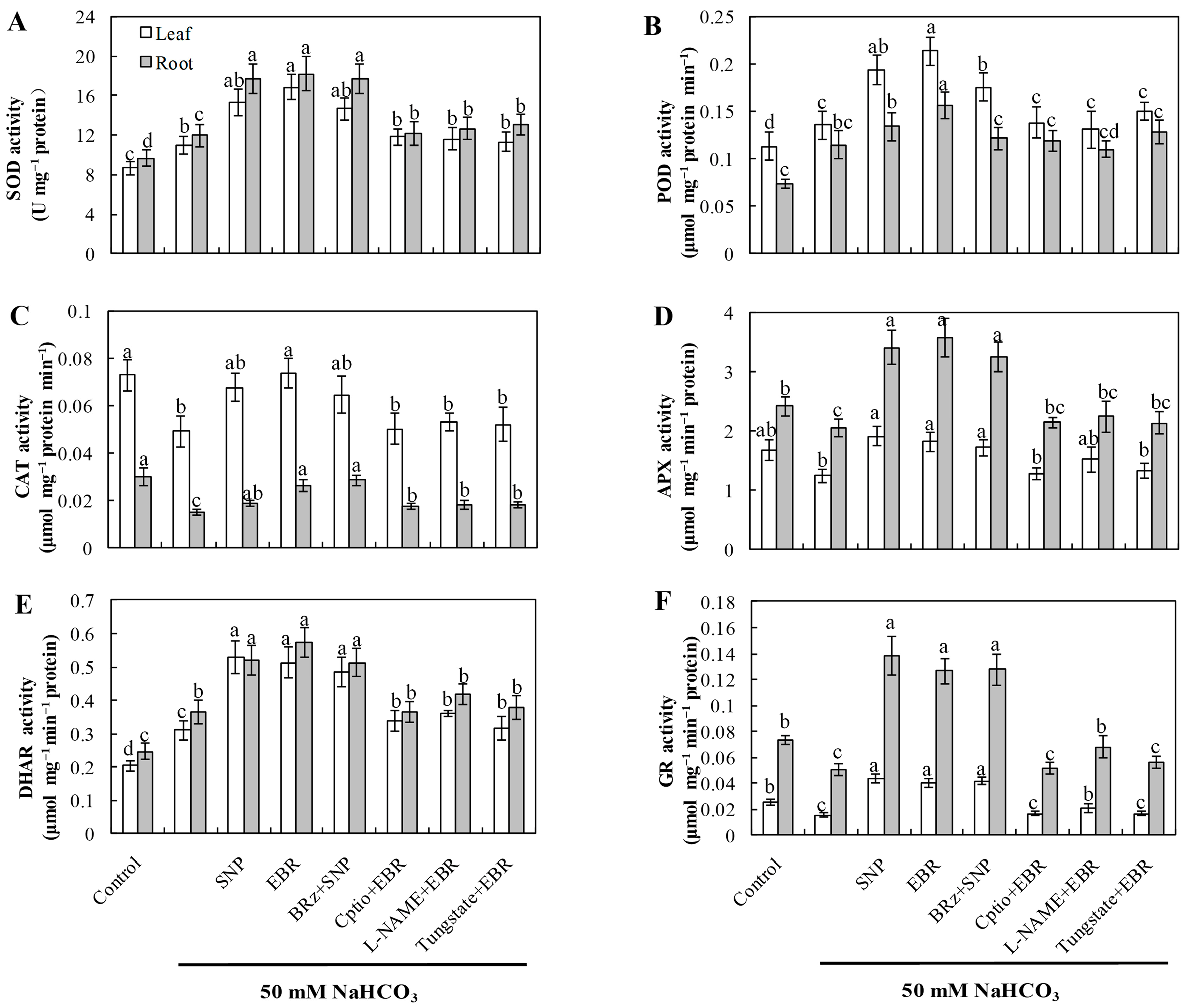 Plants 14 03367 g003