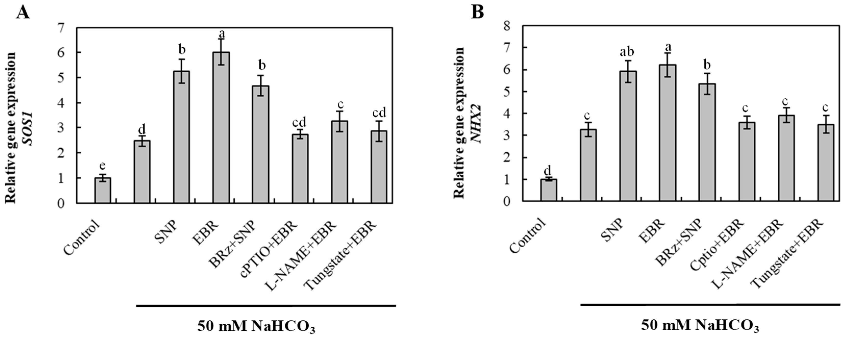 Plants 14 03367 g006