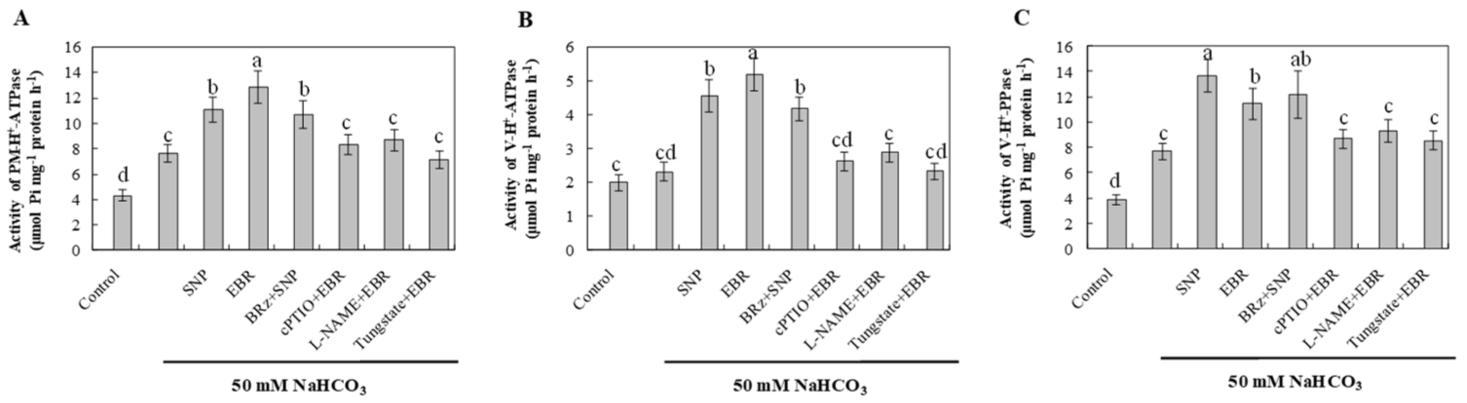 Plants 14 03367 g007