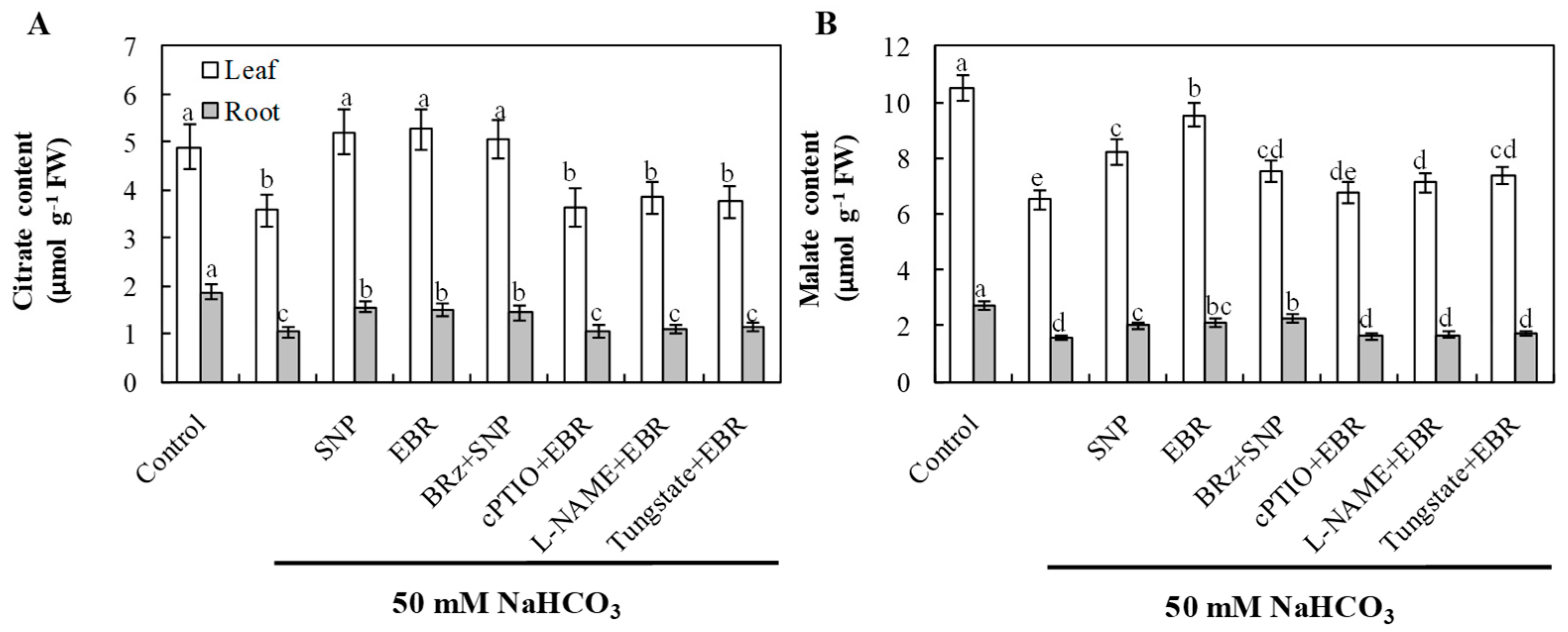 Plants 14 03367 g008