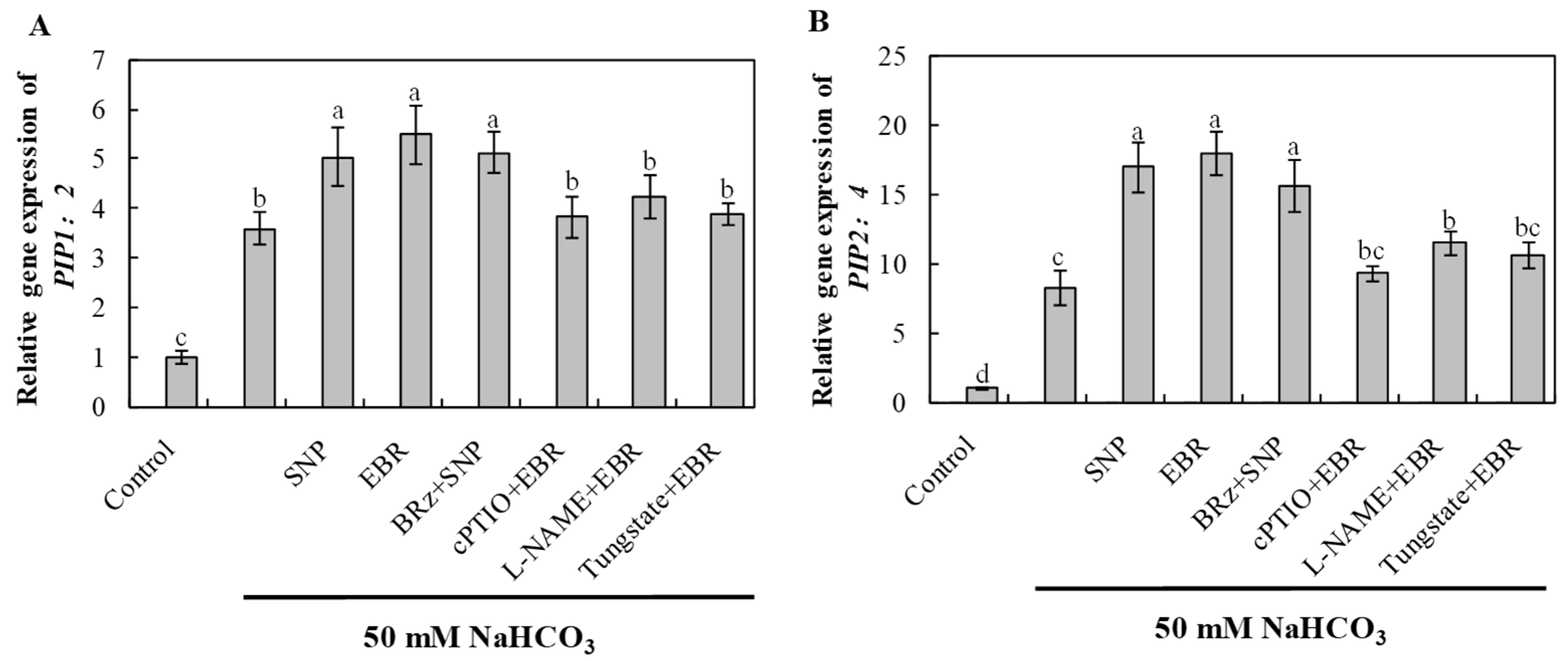 Plants 14 03367 g009