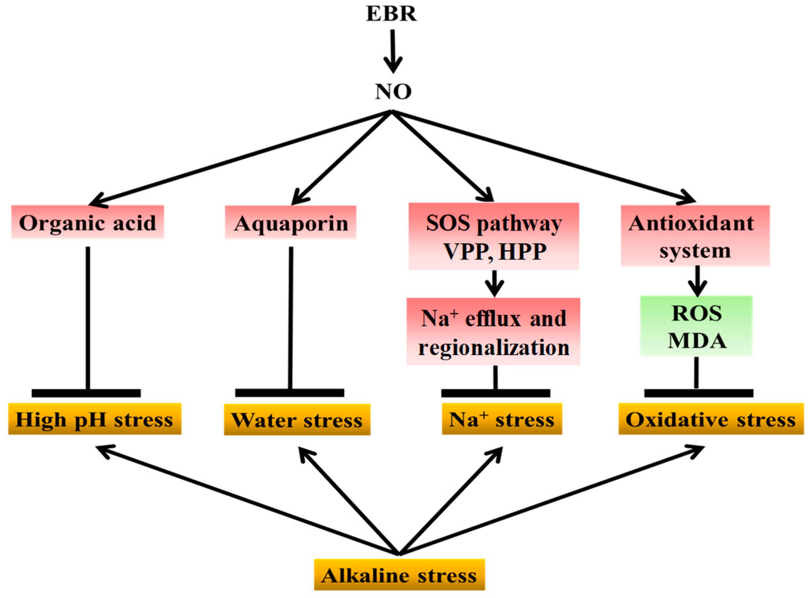 Plants 14 03367 g010