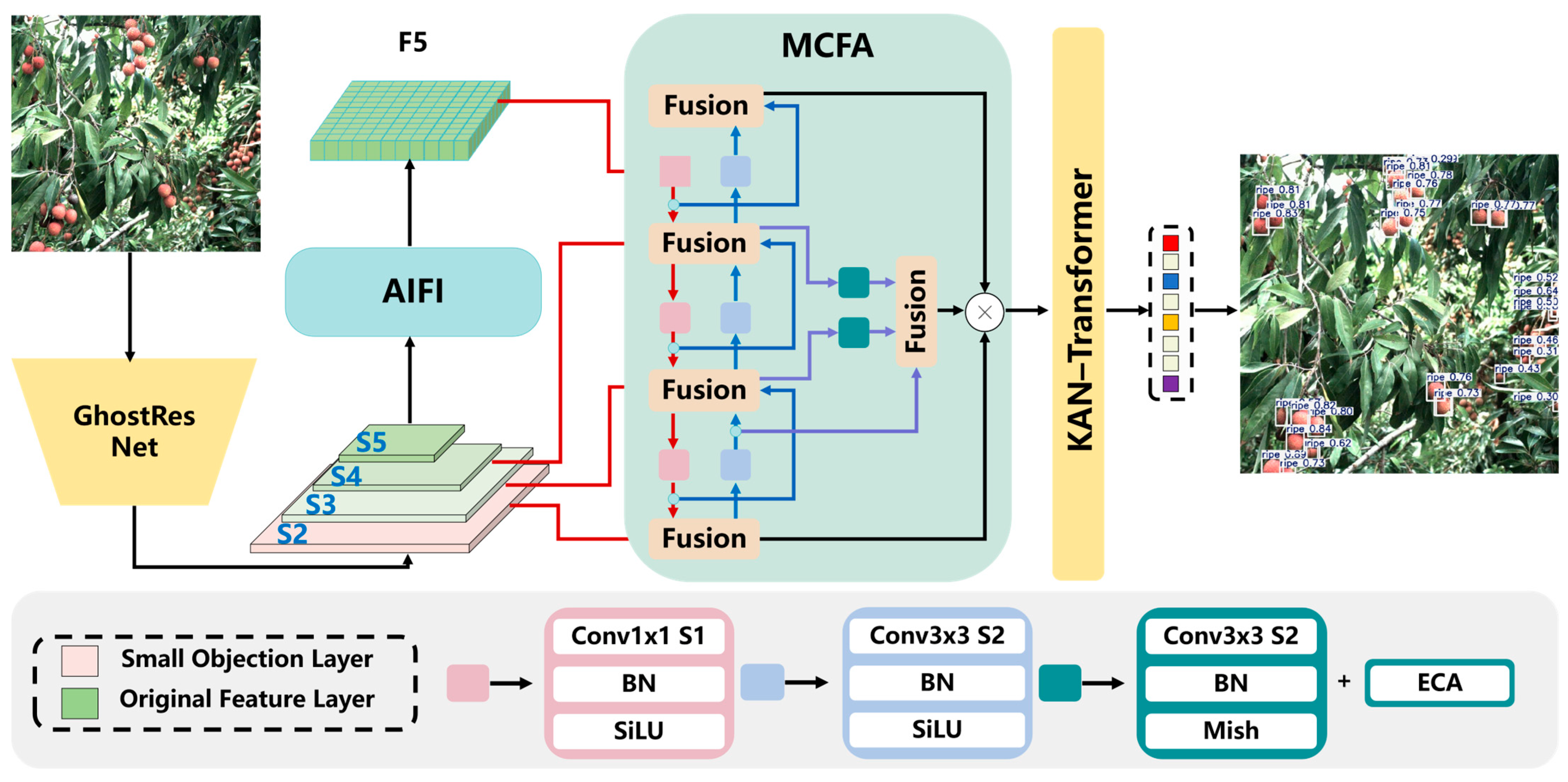 Plants 14 03378 g002
