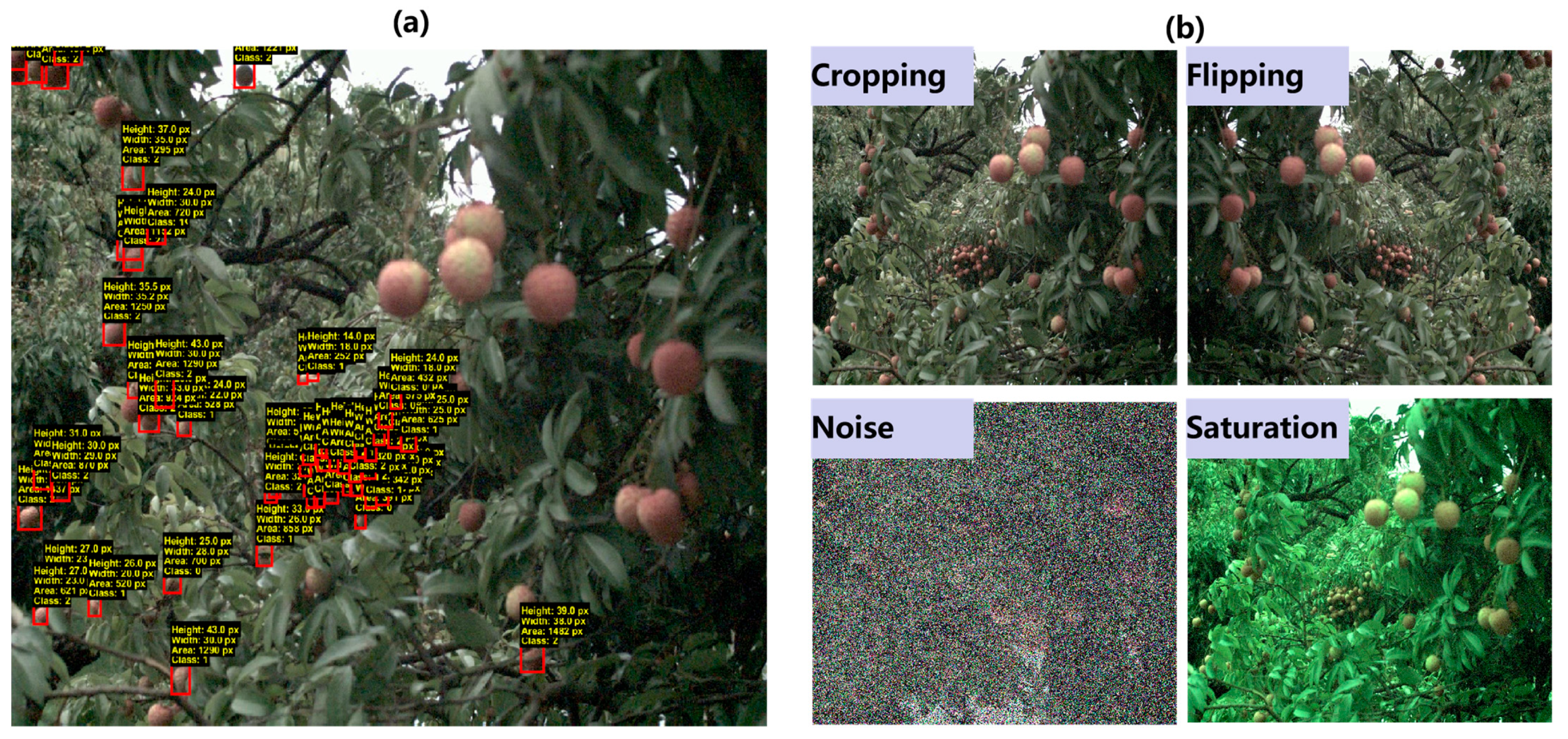 Plants 14 03378 g007