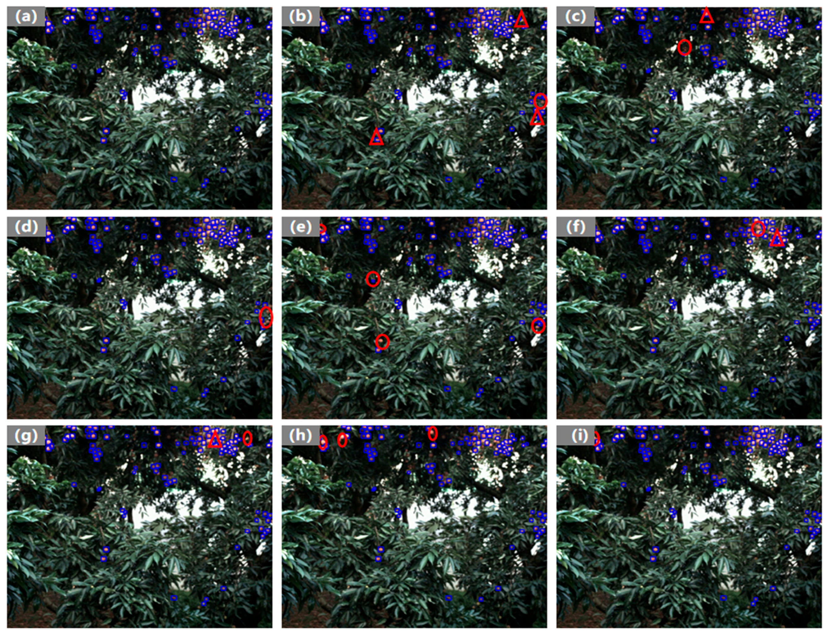 Plants 14 03378 g010