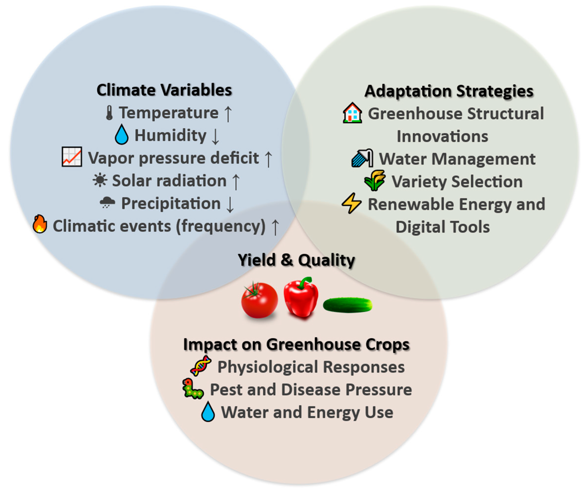 Plants 14 03390 g001