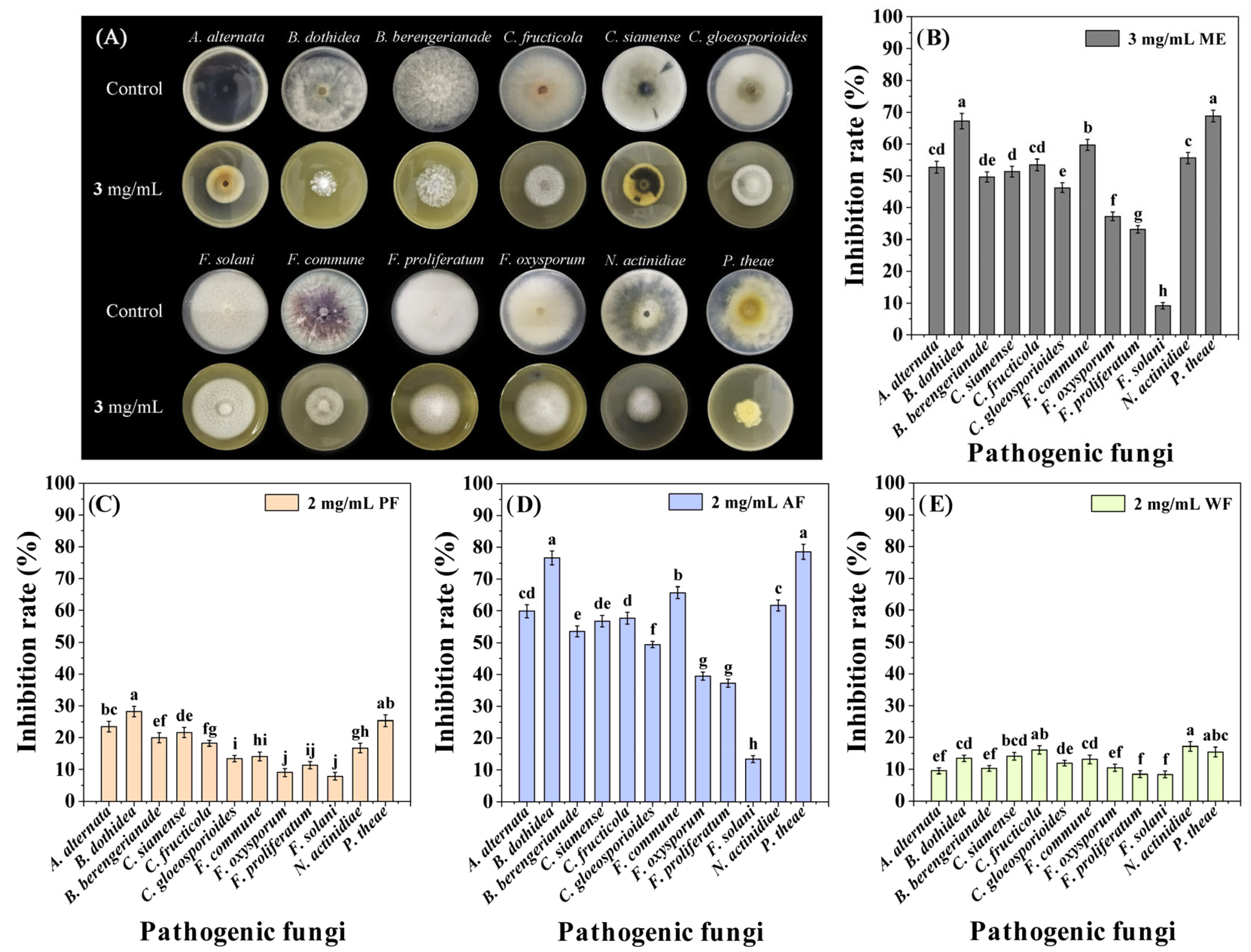 Plants 14 03392 g001 Plants 14 03392 g001