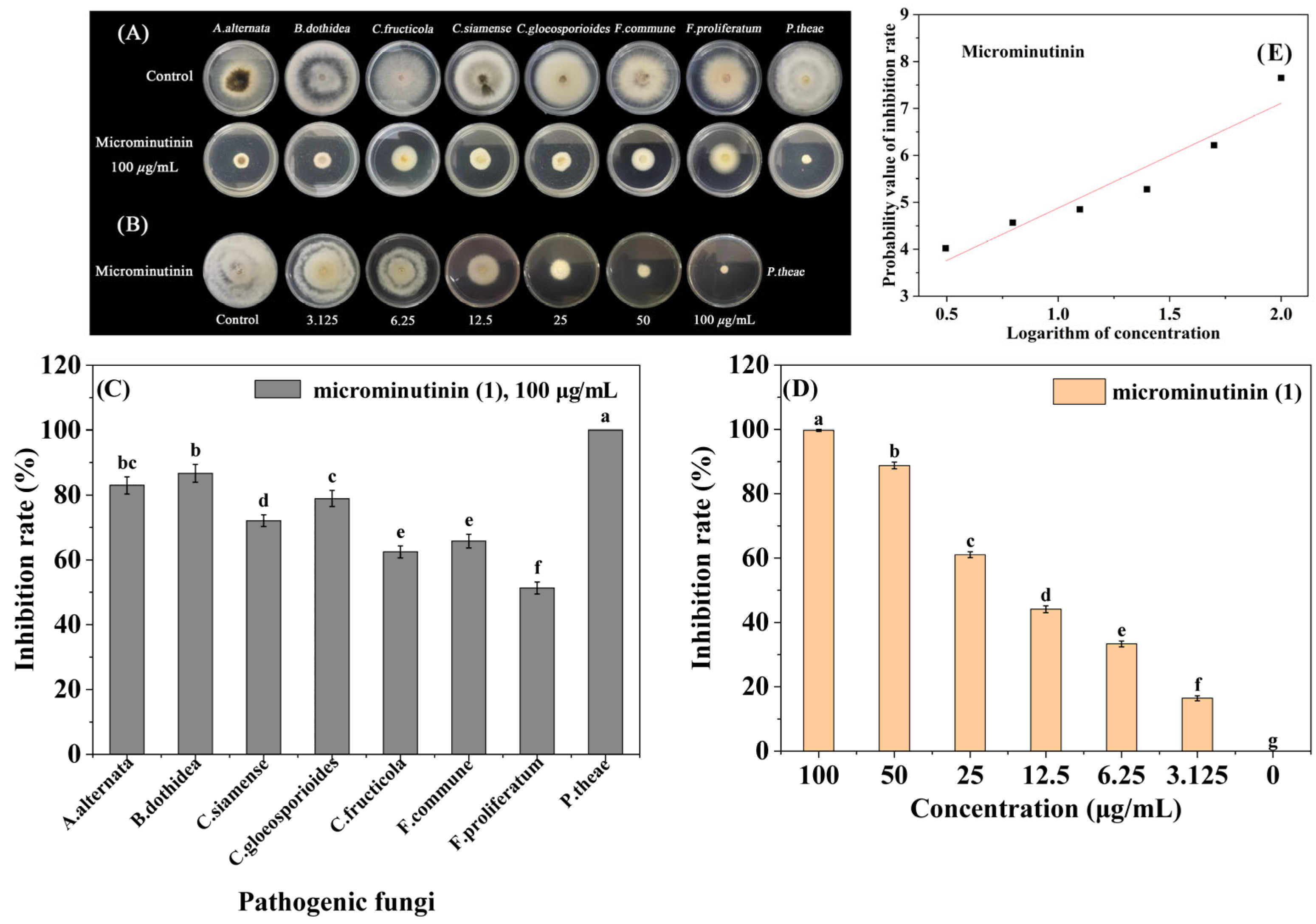 Plants 14 03392 g003 Plants 14 03392 g003