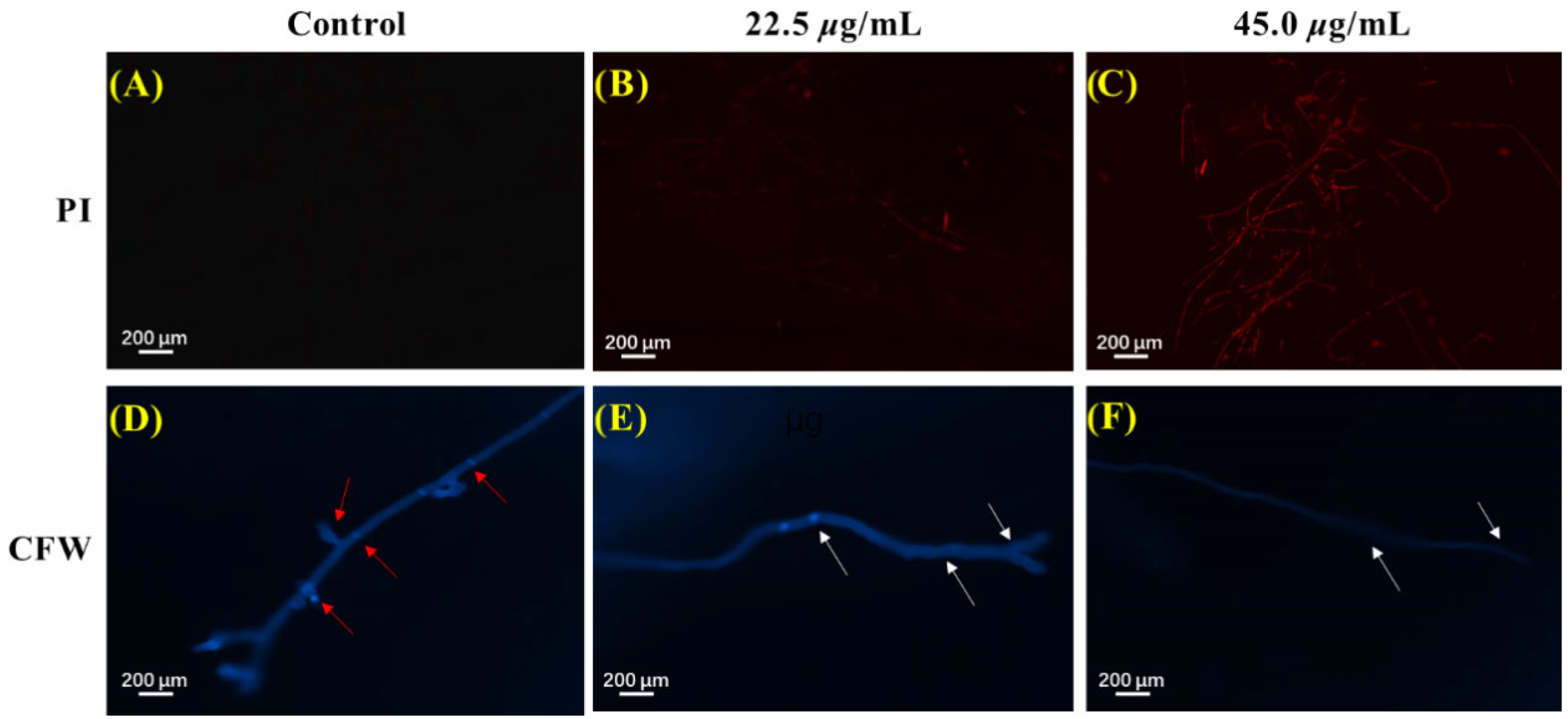 Plants 14 03392 g006 Plants 14 03392 g006