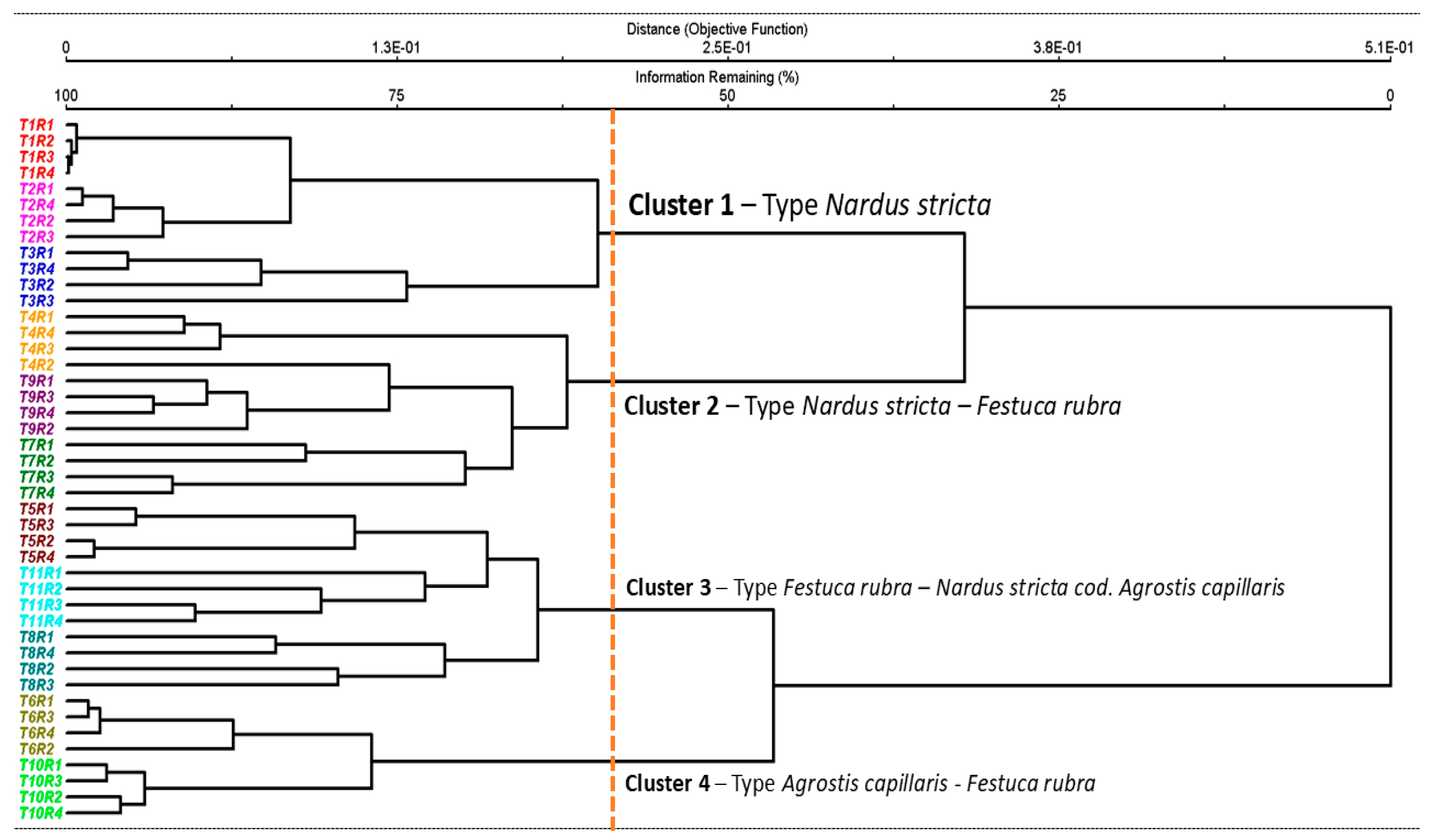 Plants 14 03397 g001 Plants 14 03397 g001