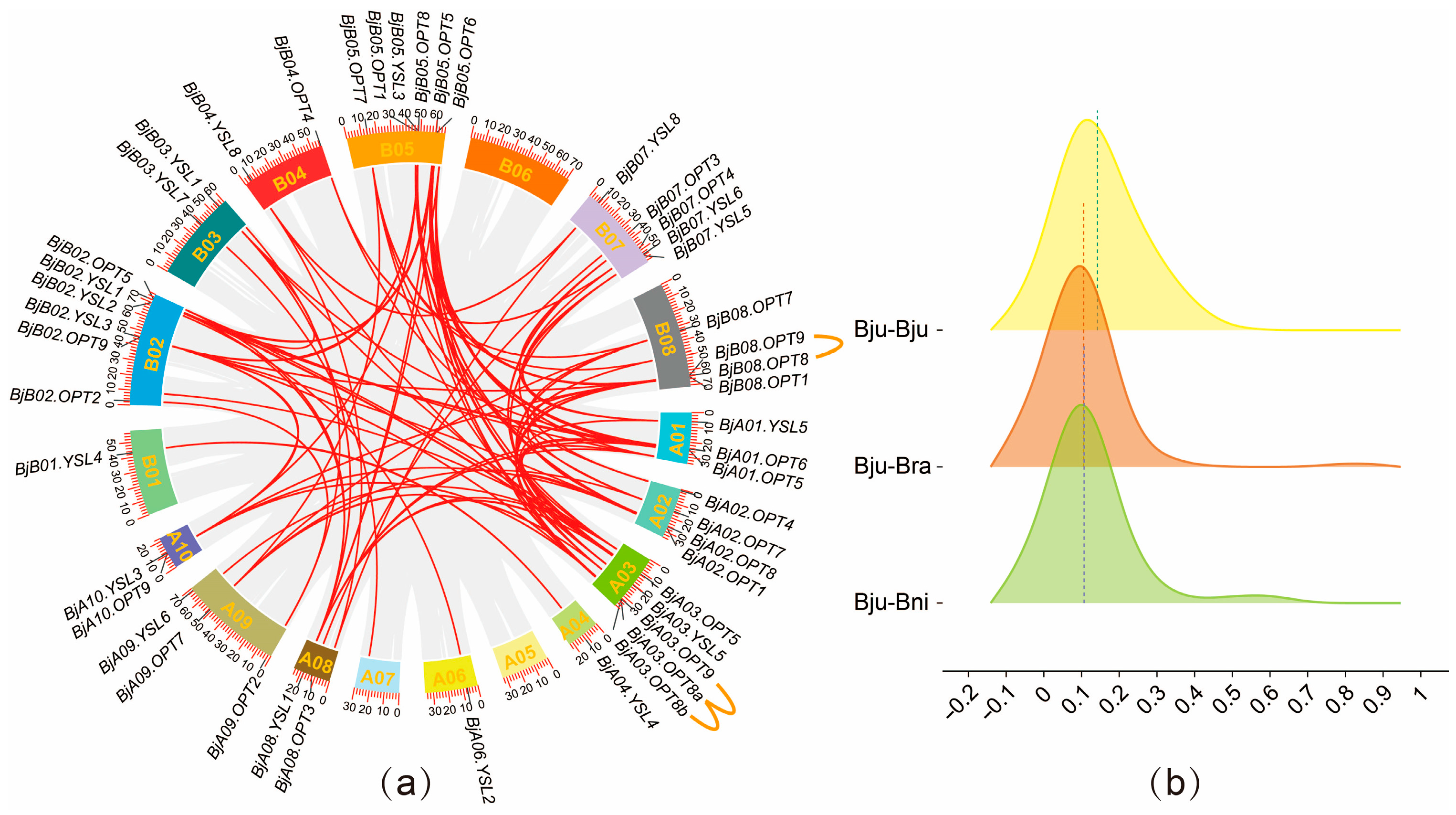 Plants 14 03399 g002 Plants 14 03399 g002