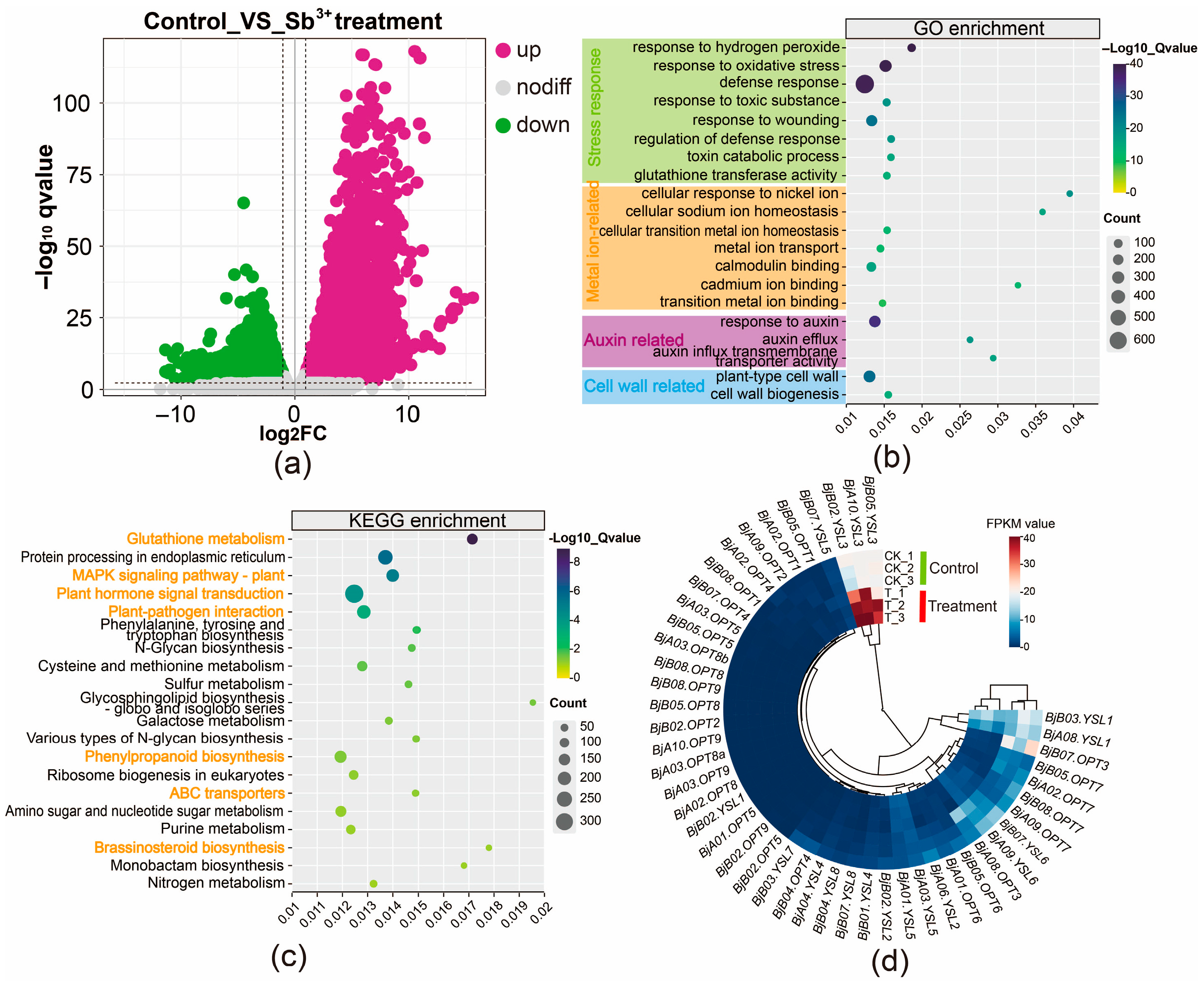 Plants 14 03399 g004 Plants 14 03399 g004