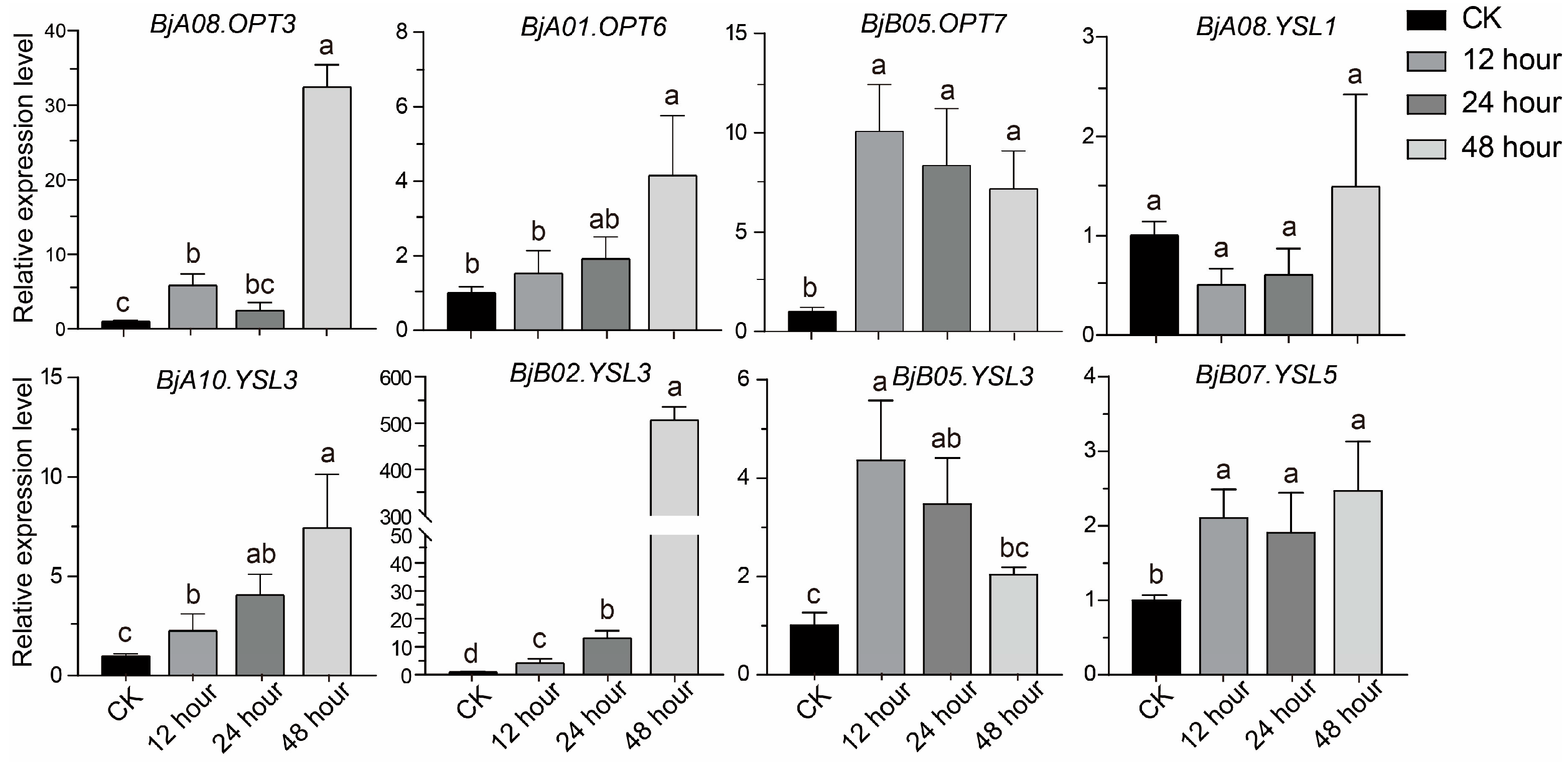 Plants 14 03399 g005 Plants 14 03399 g005