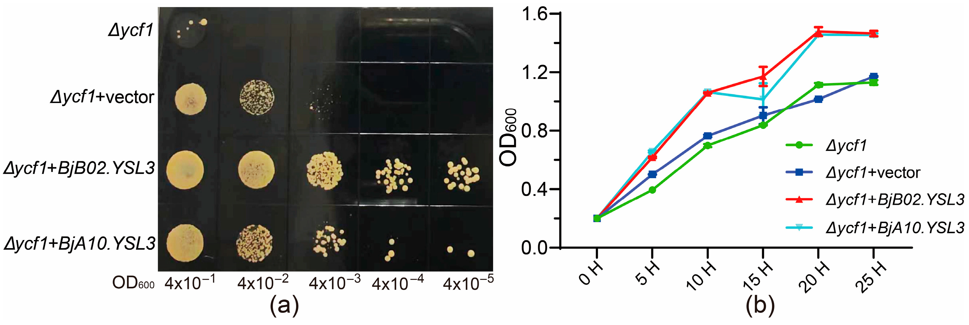 Plants 14 03399 g006 Plants 14 03399 g006