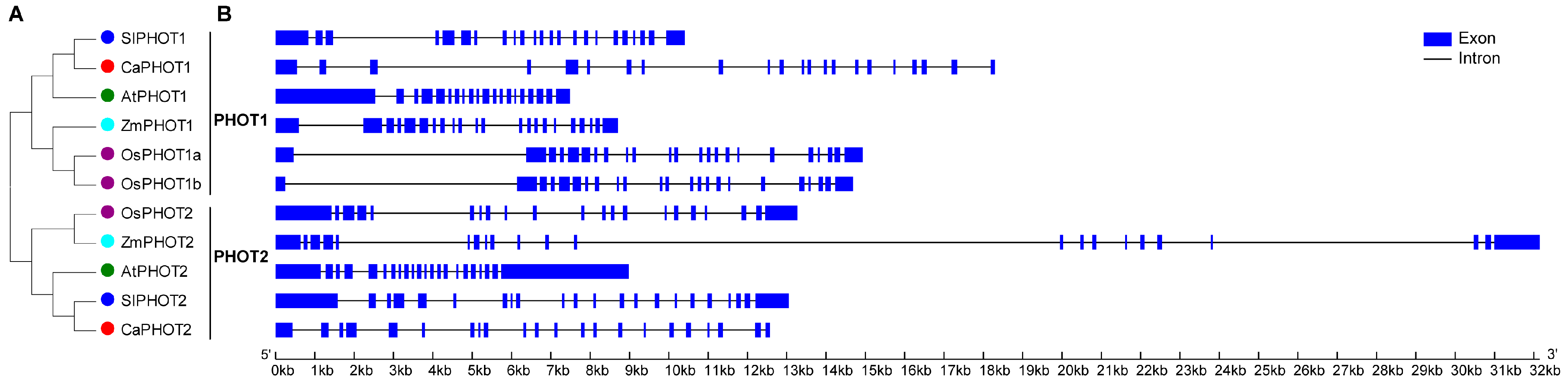 Plants 14 03400 g001