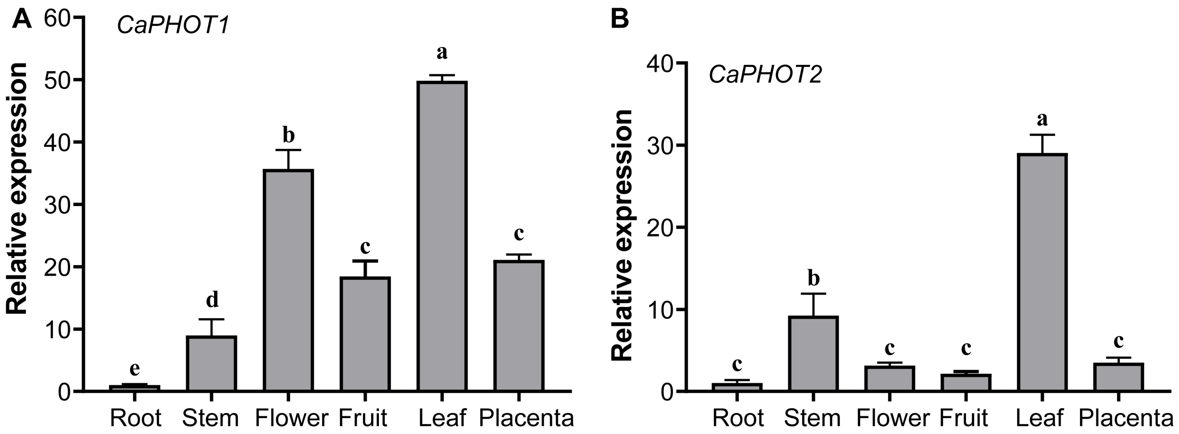 Plants 14 03400 g002
