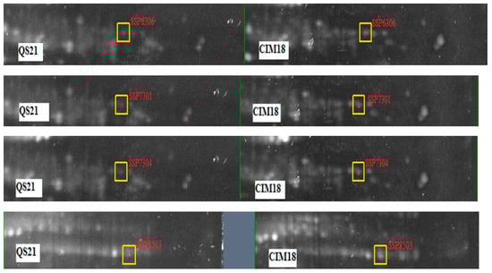 Plants 14 03419 g0a1