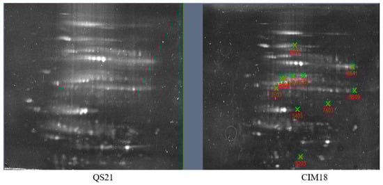 Plants 14 03419 g0a2