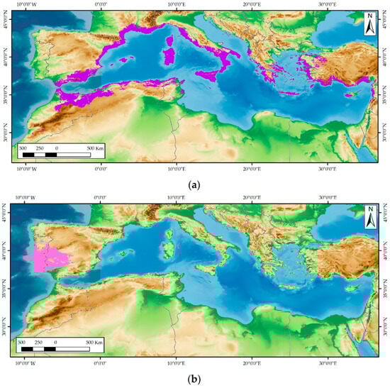 Plants 14 03435 g002