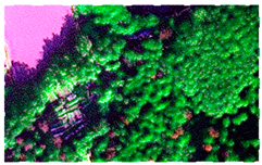 Plants 14 03436 i001