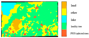 Plants 14 03436 i002